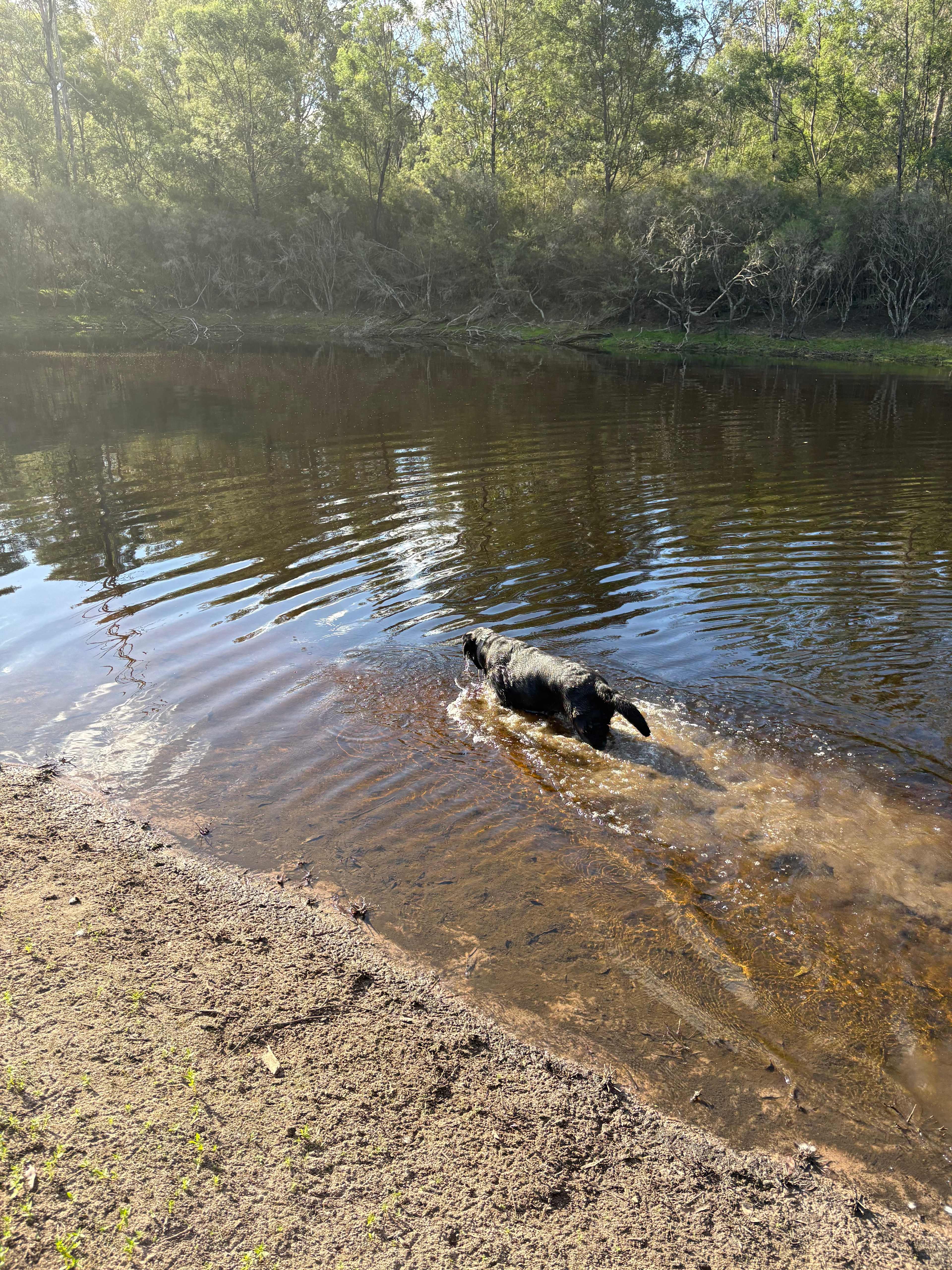 Briagalong Bush Getaway