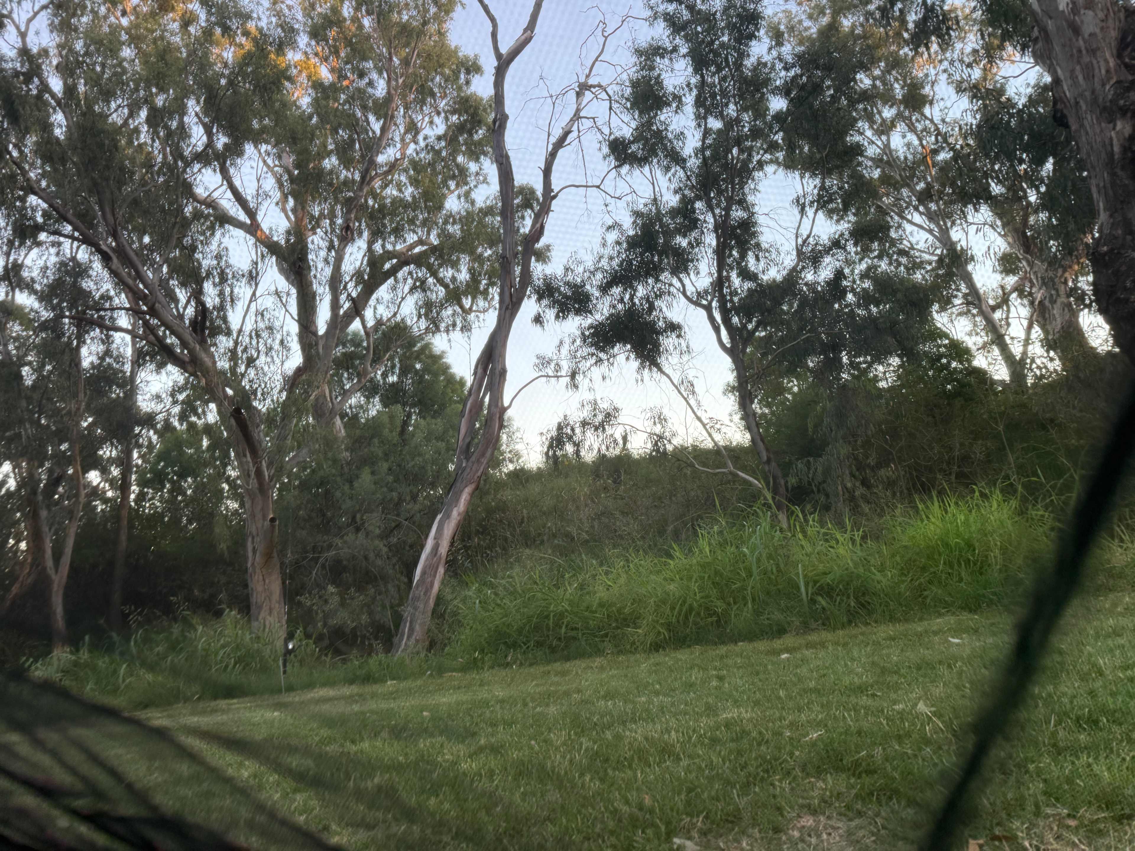 Pringy's Farm Balnagask