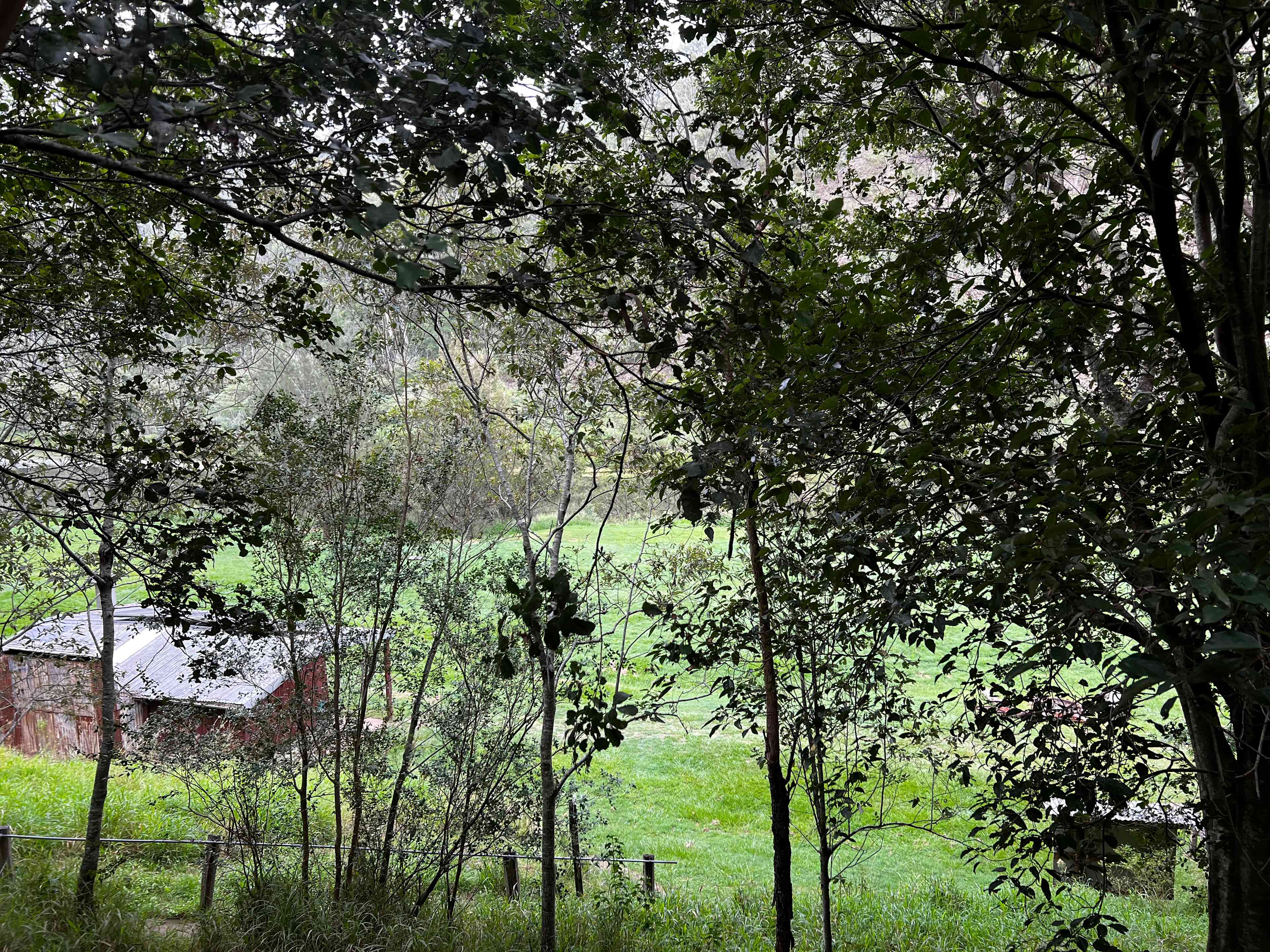 Clarence River Wilderness Lodge