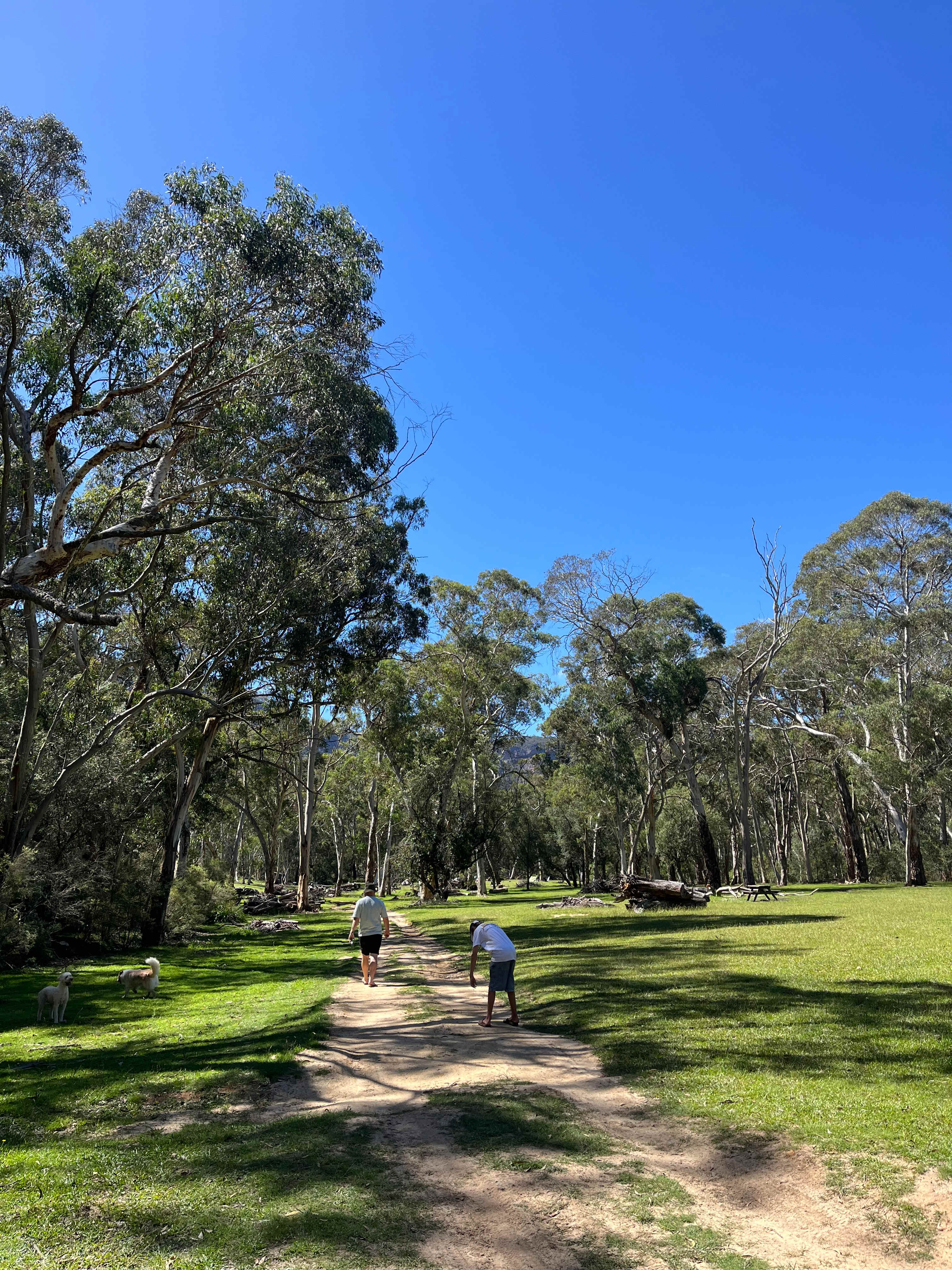 Nellies Glen Camping