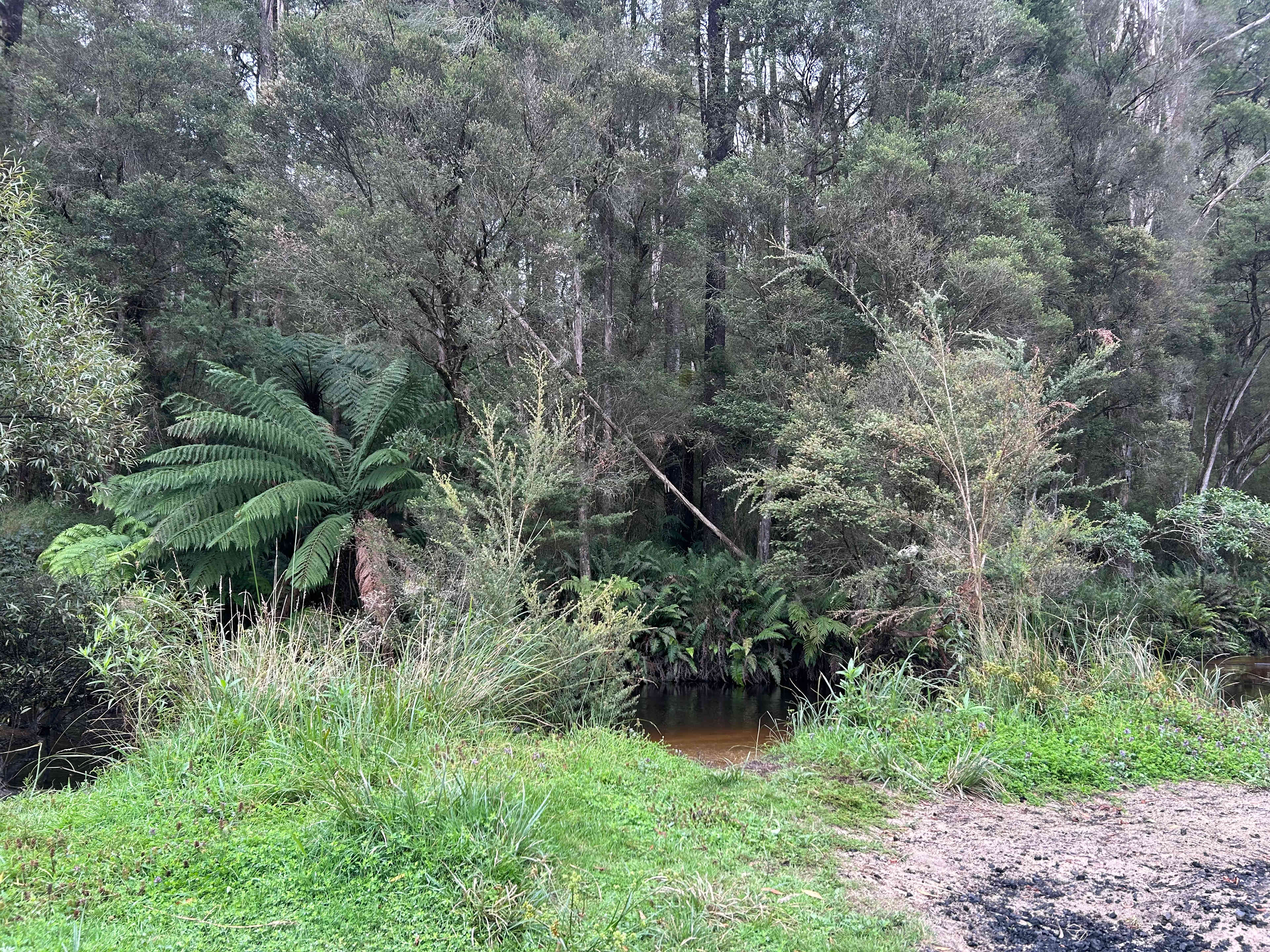 Organic Farm & Riverside Camping