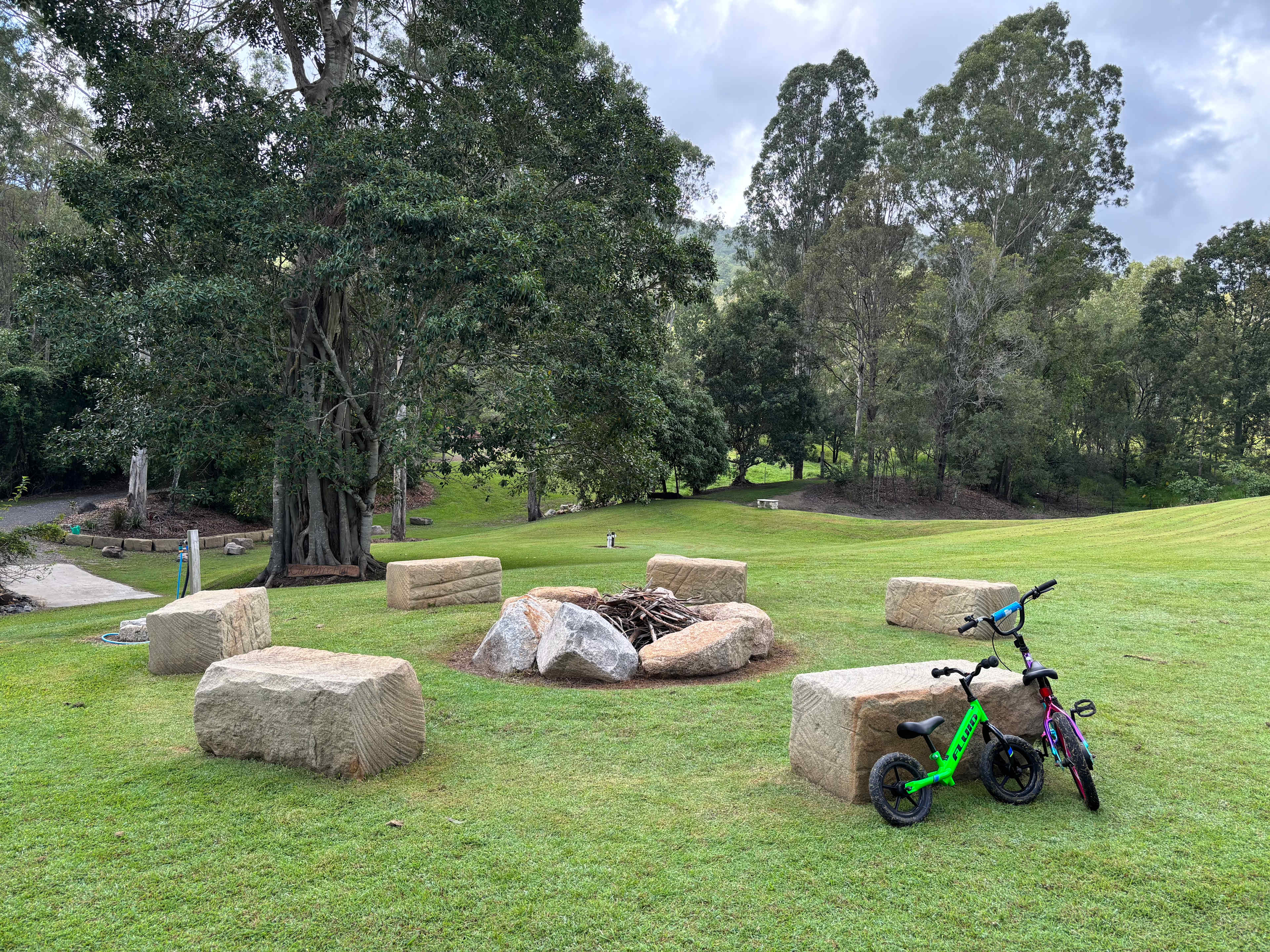 The Enchanted Paddock