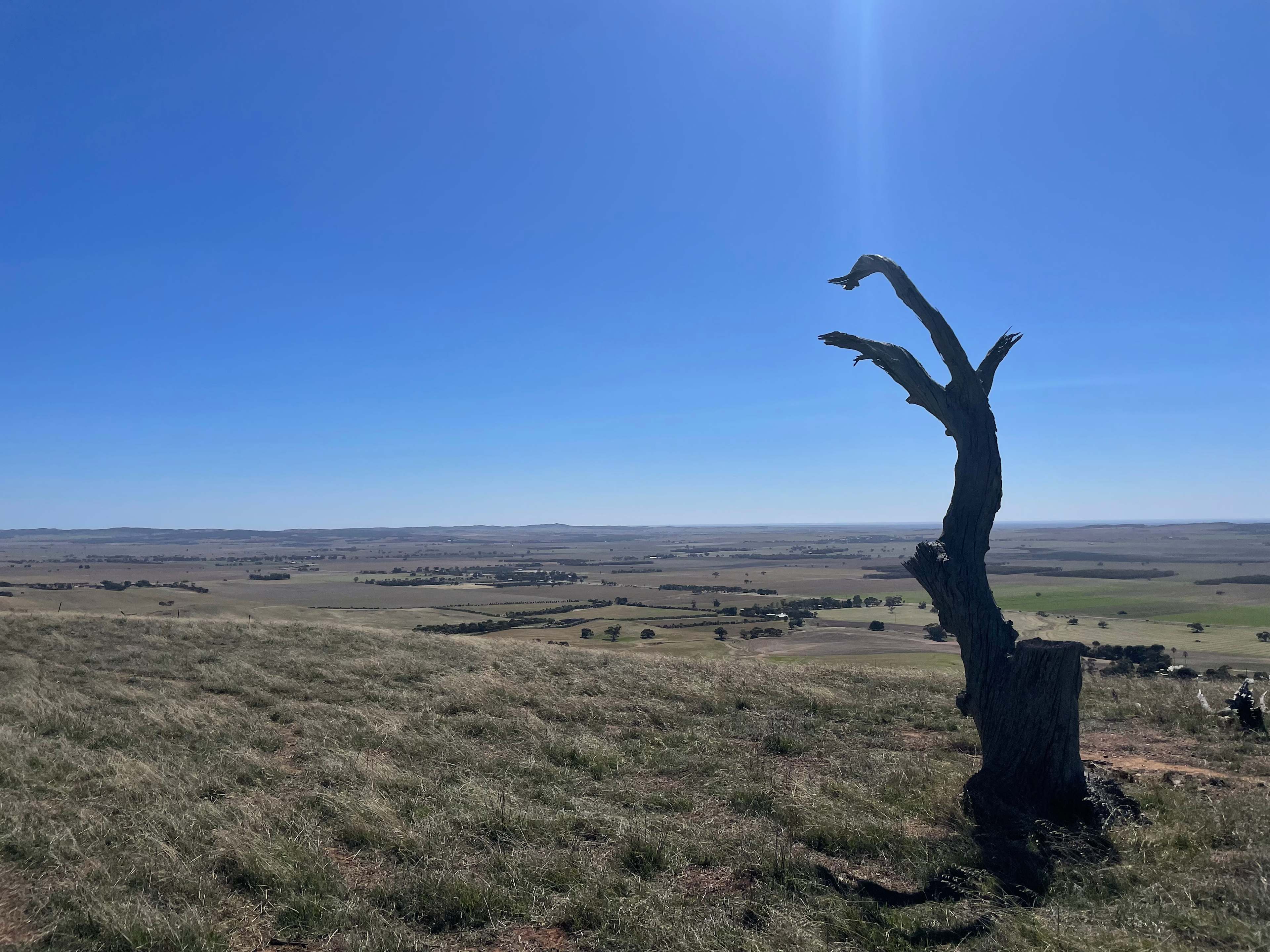 Downhill Run Camping