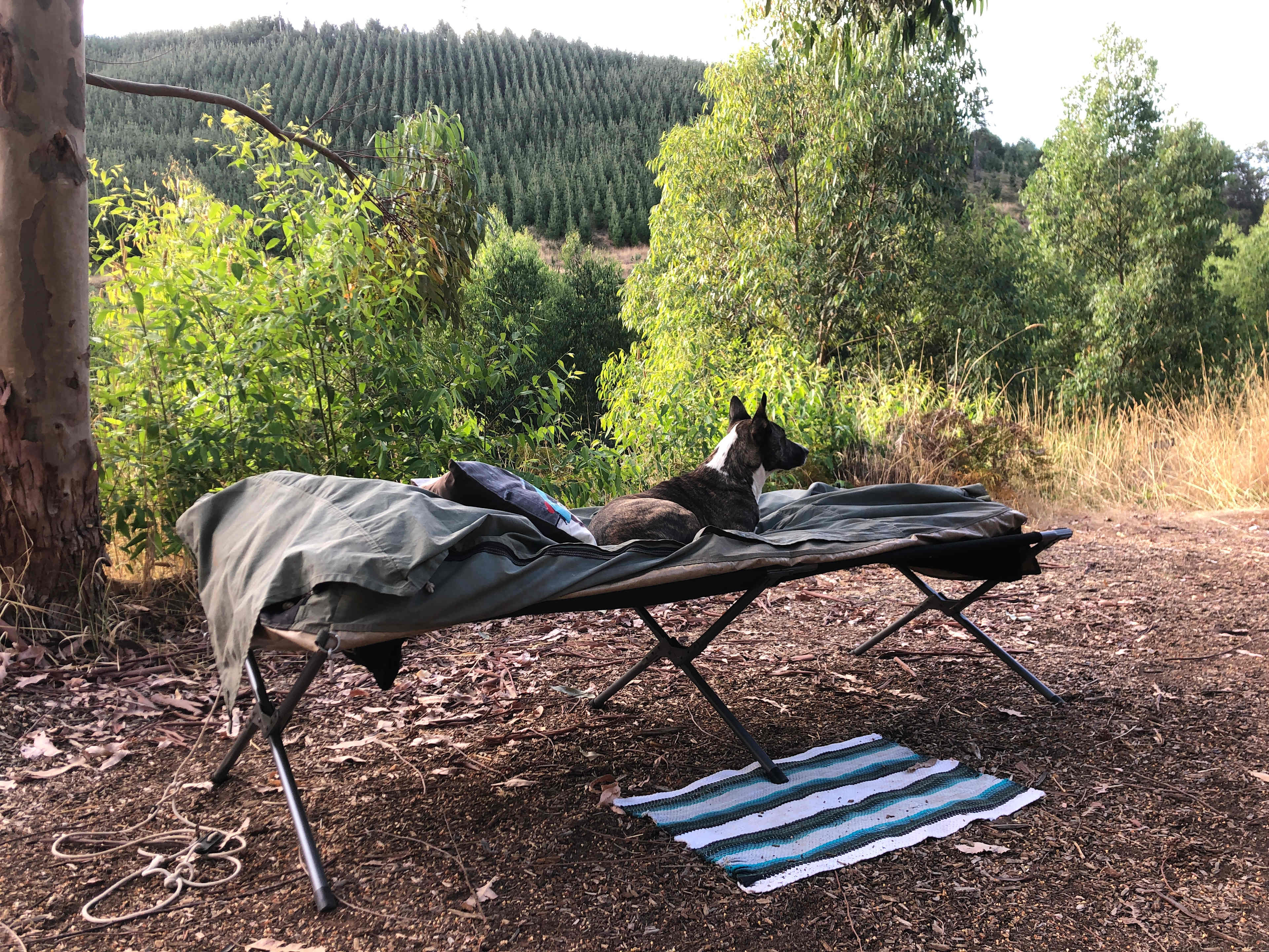 Lewana Cottages Campsites