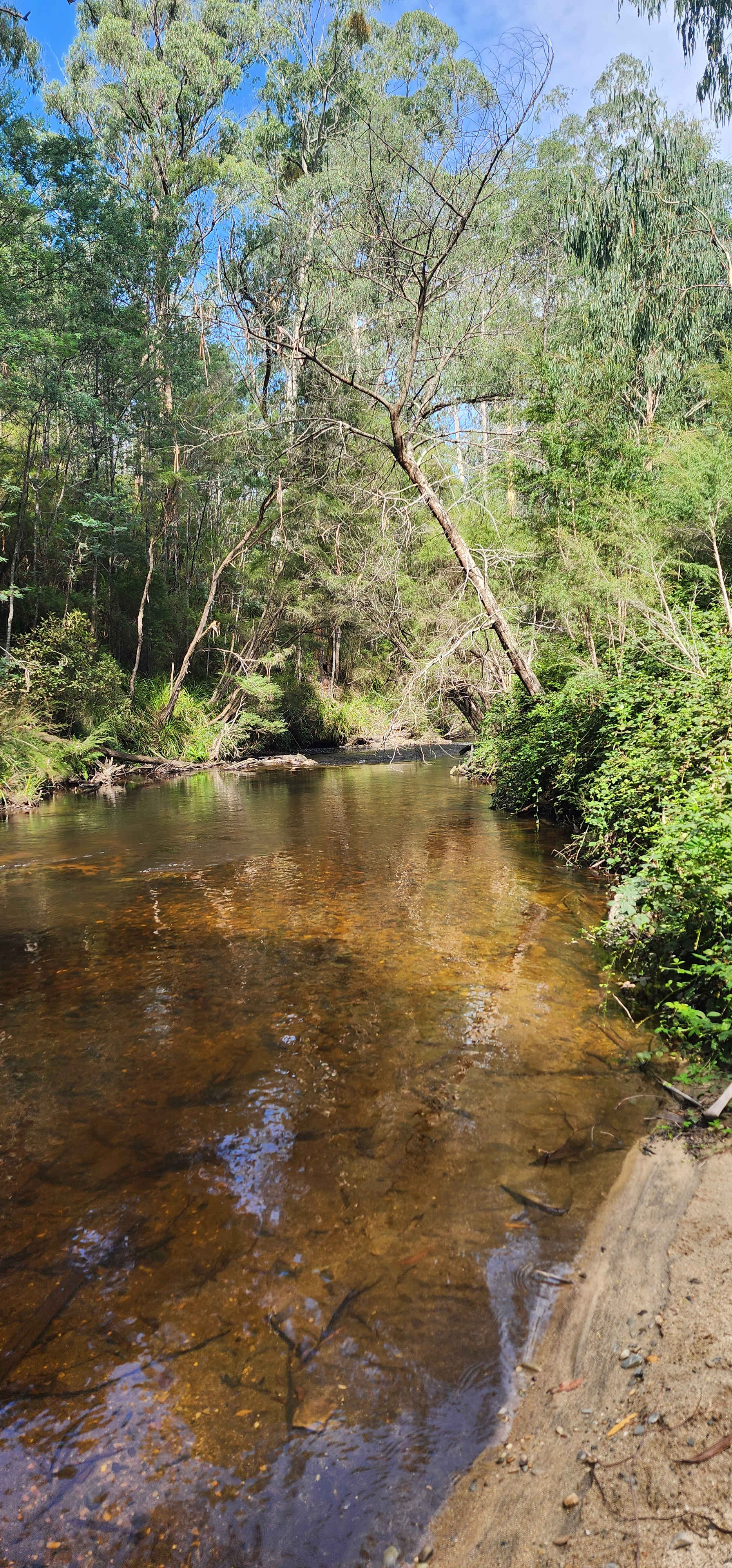 Hazelnut Valley Farm Stay