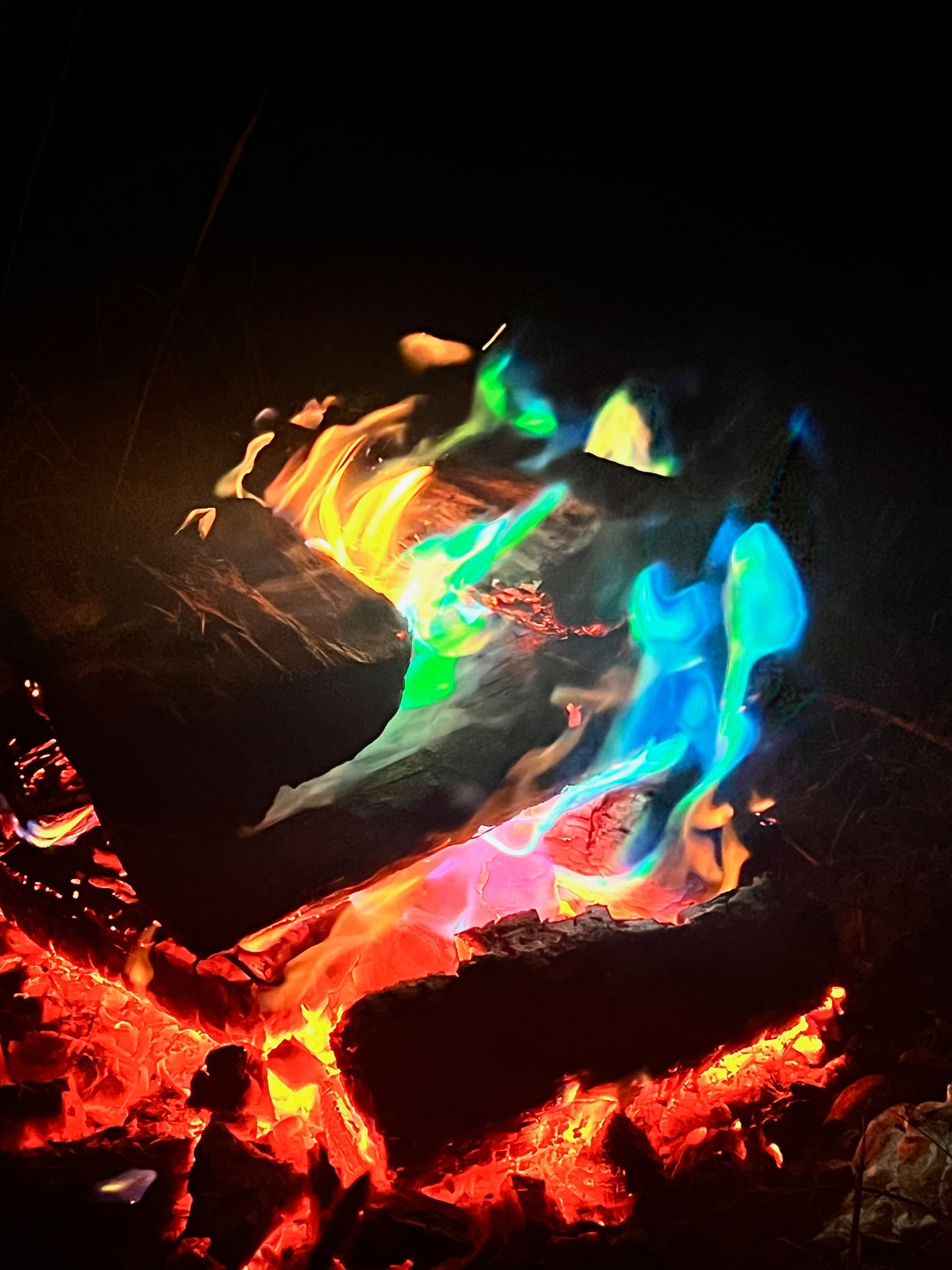 Tweed Valley - Doon Doon Farm