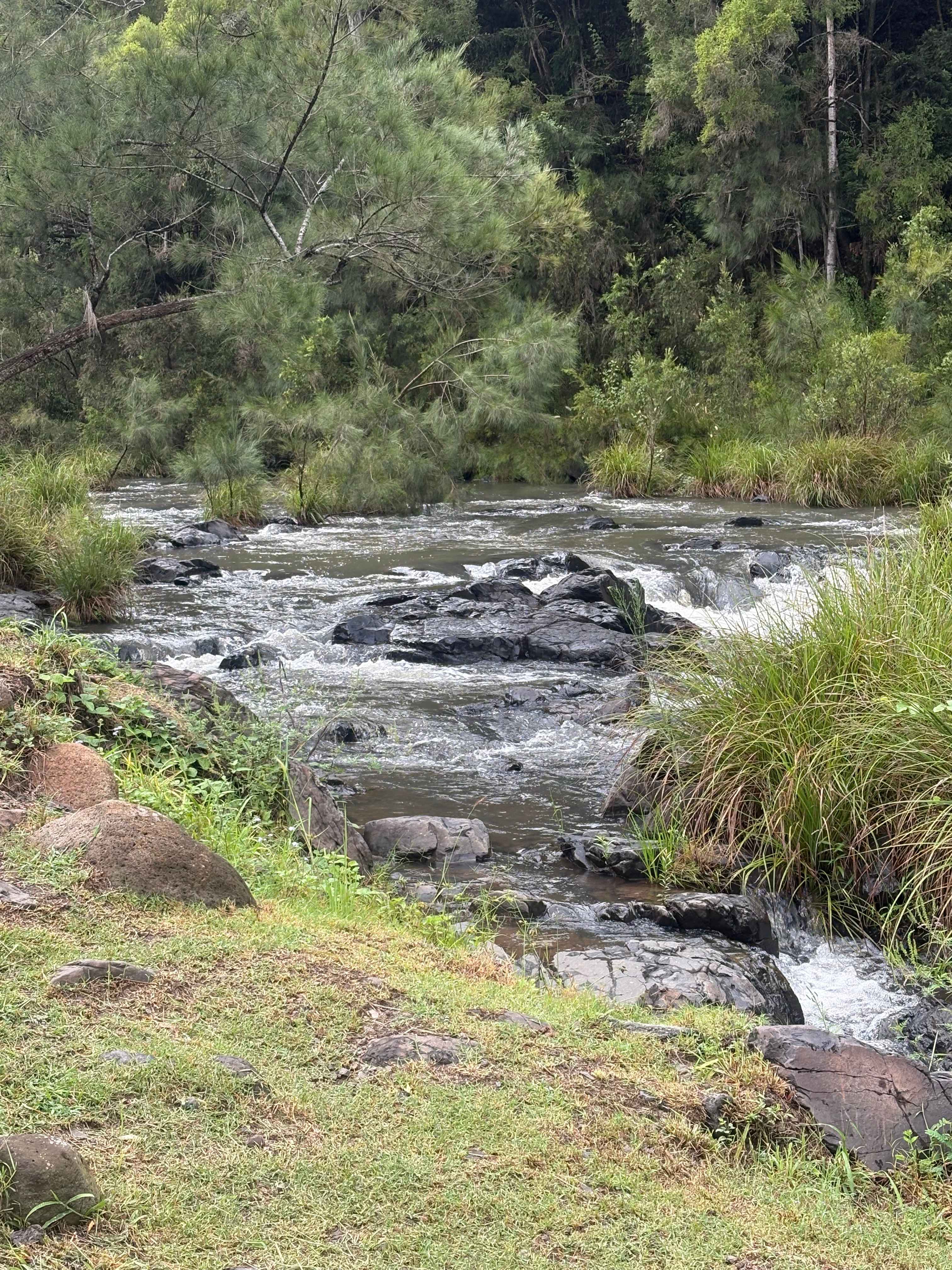 Andrew Drynan Park-Camp with a view