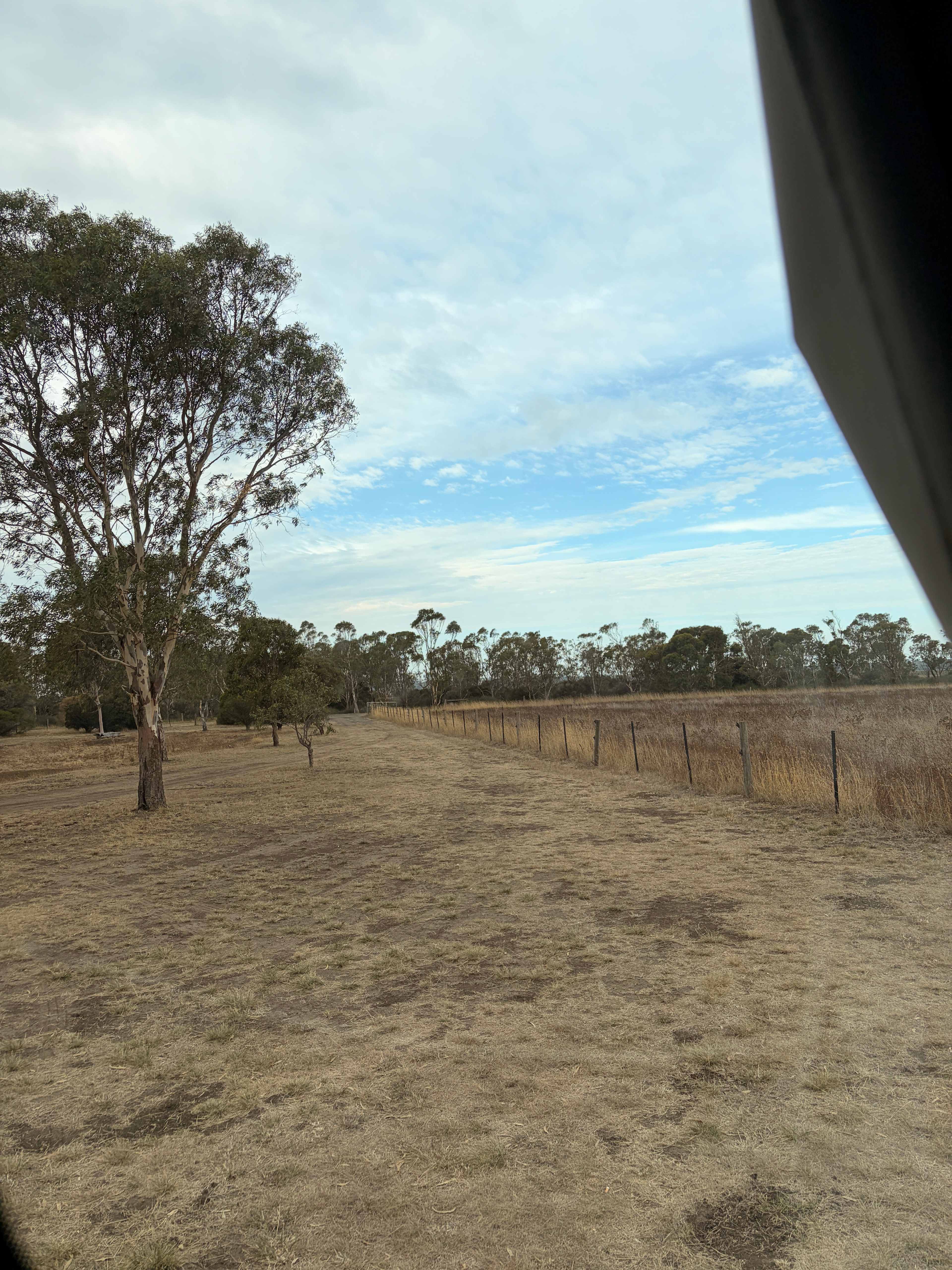 Reedy lakes farm stay