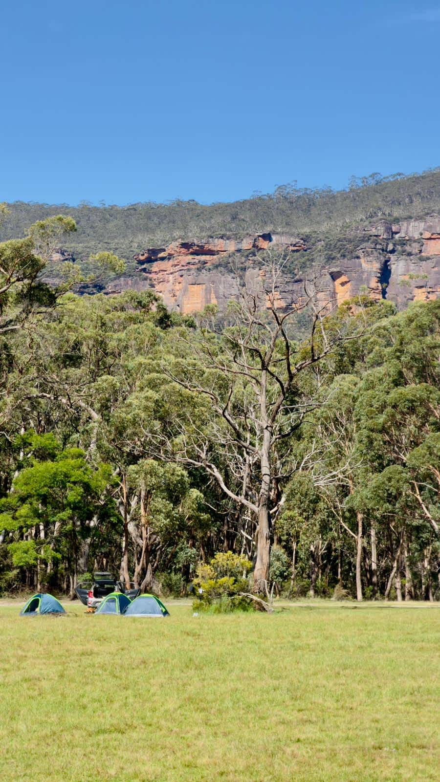 Megalong Valley Farm