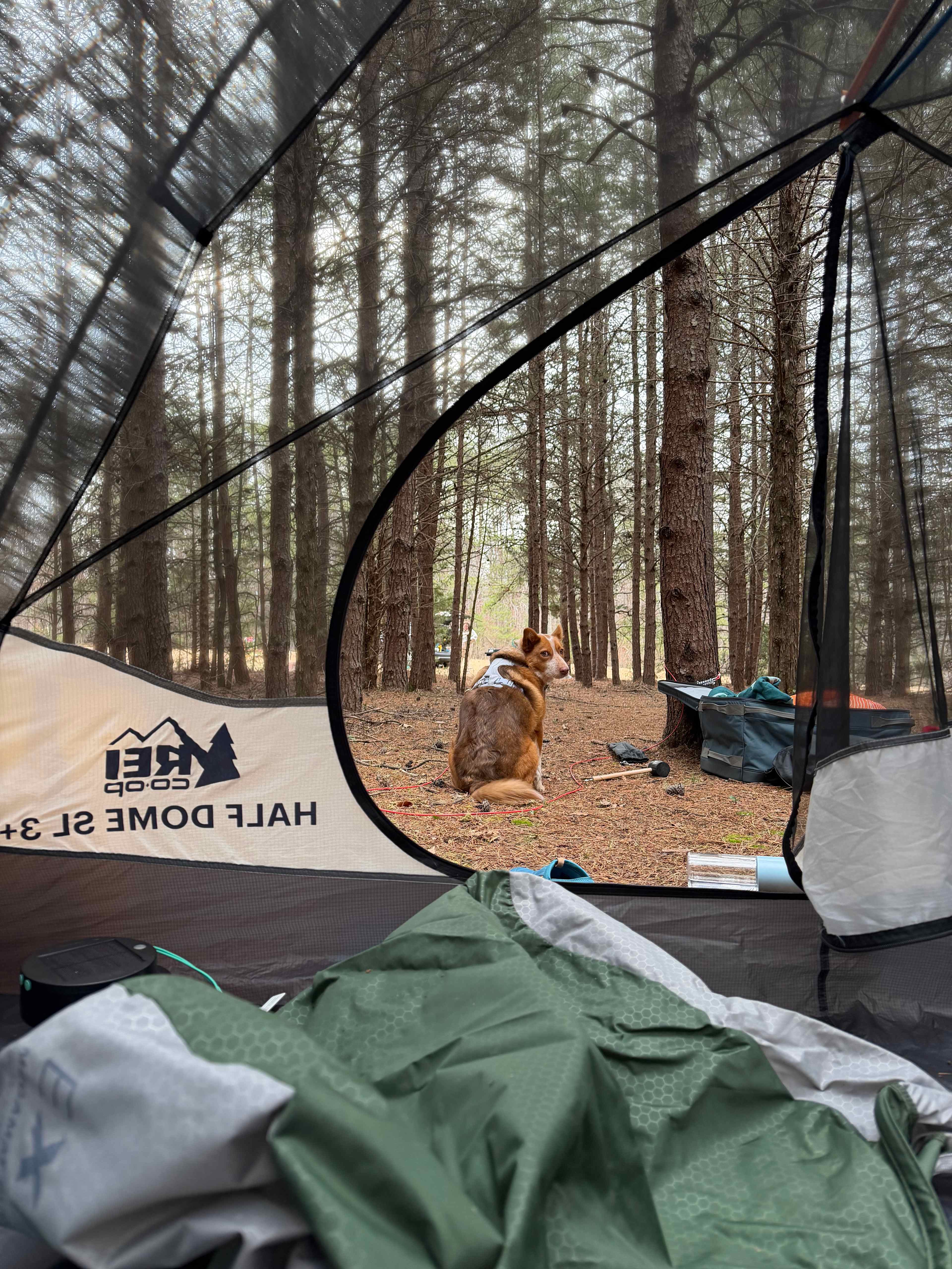 Labyrinth, Trails and Solitude