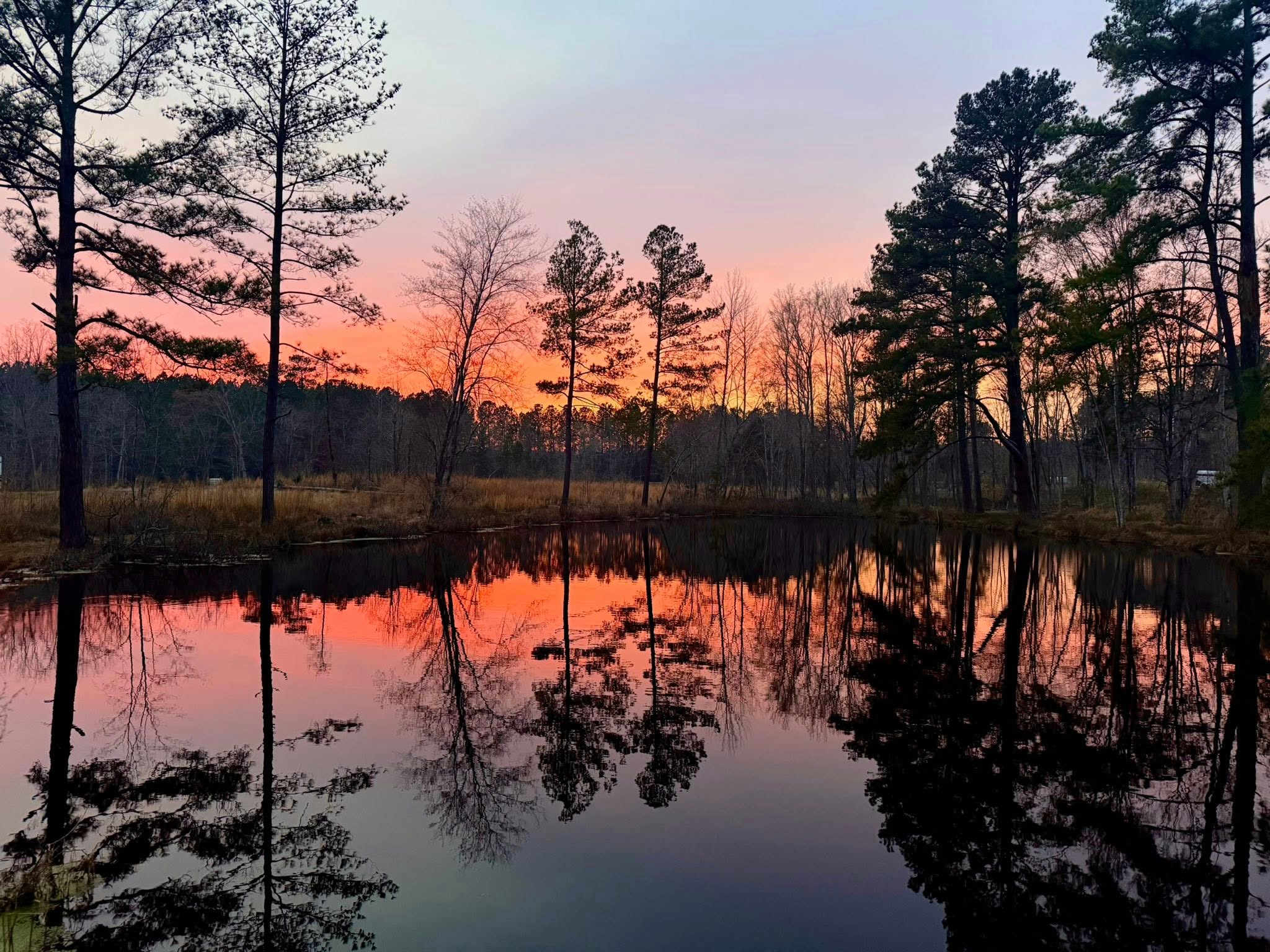 another lovely sunset from the pond just steps away from the campsite