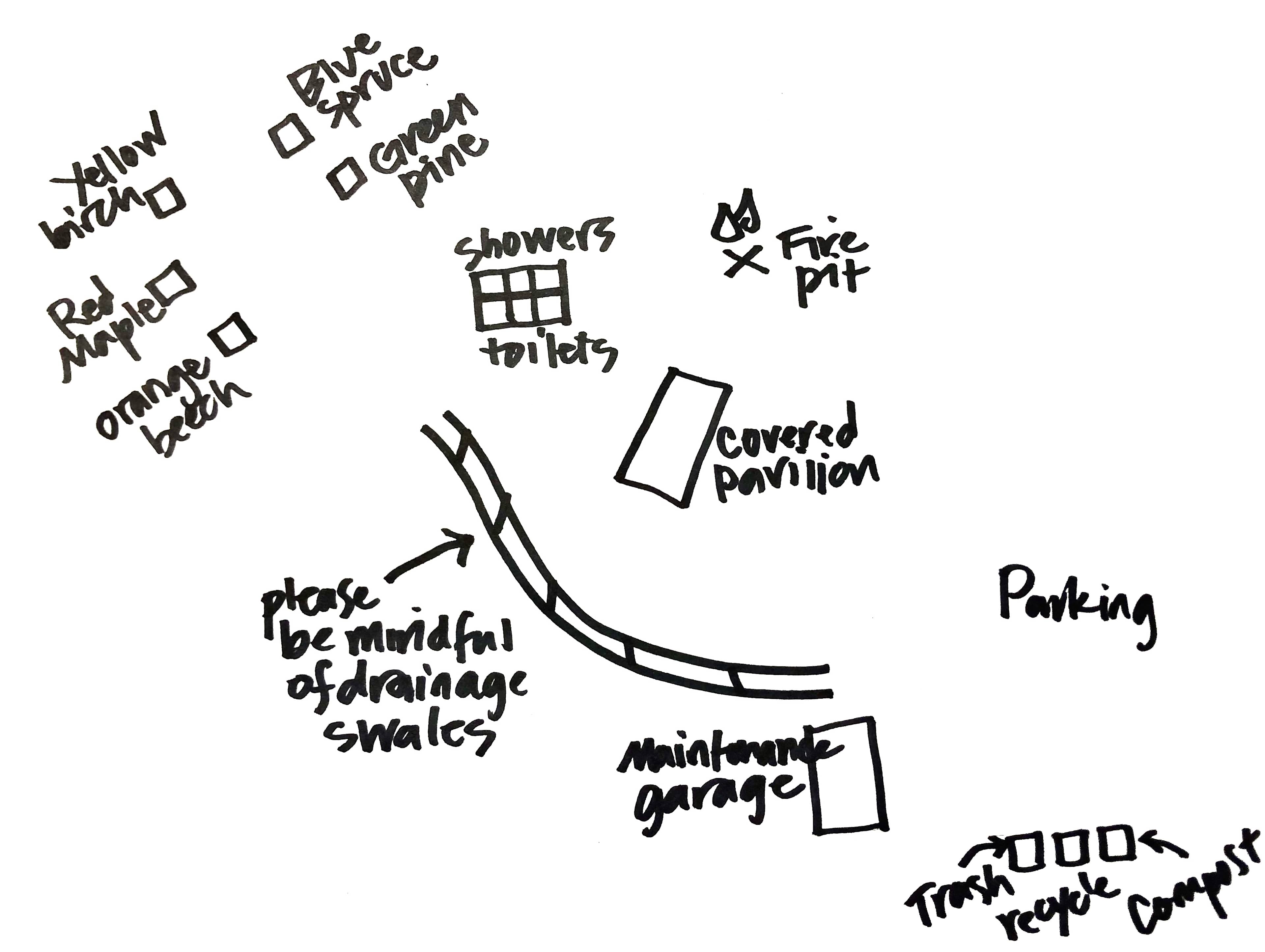 Picture of the site