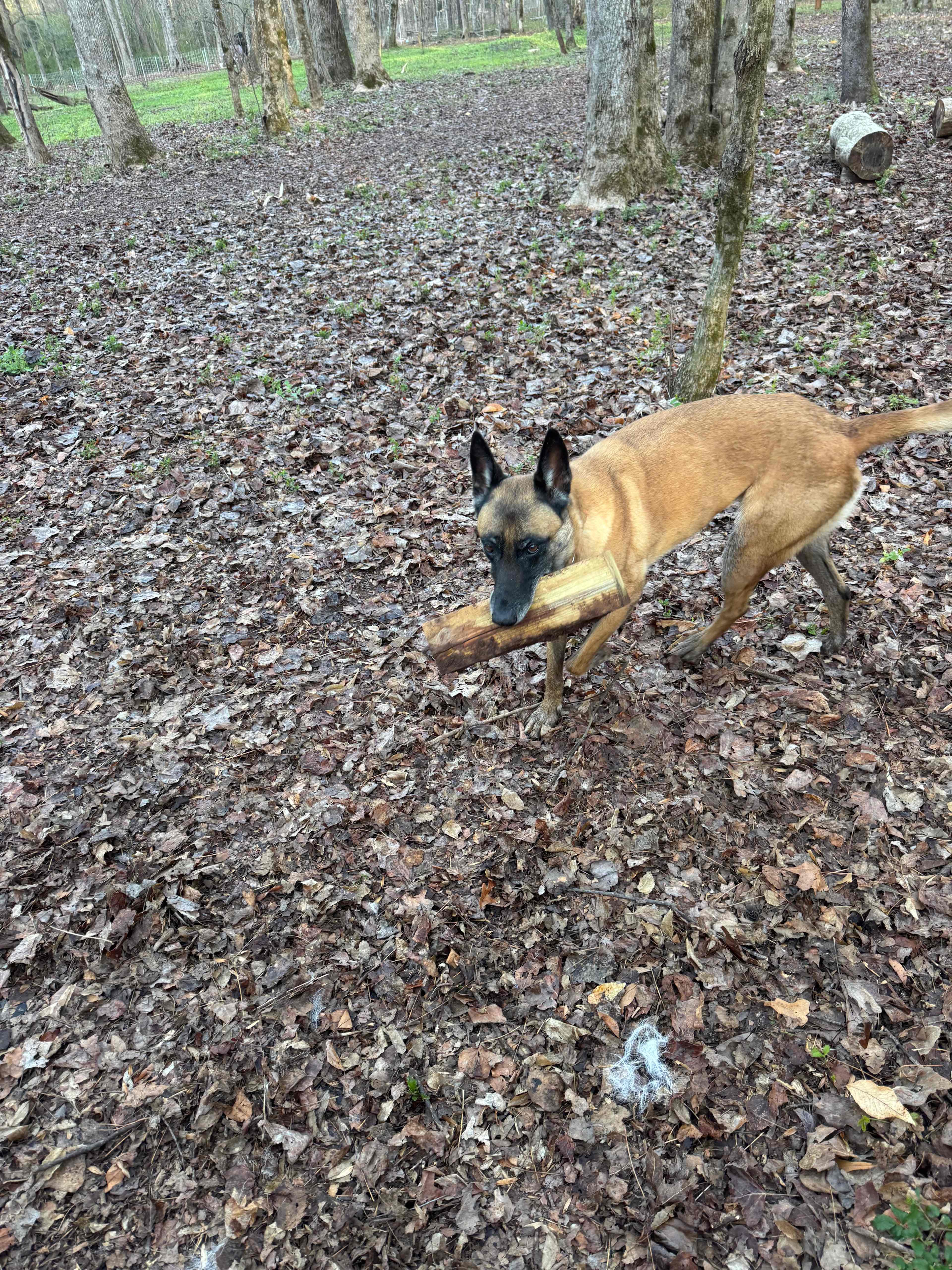 Slice of Walhalla (Heaven)