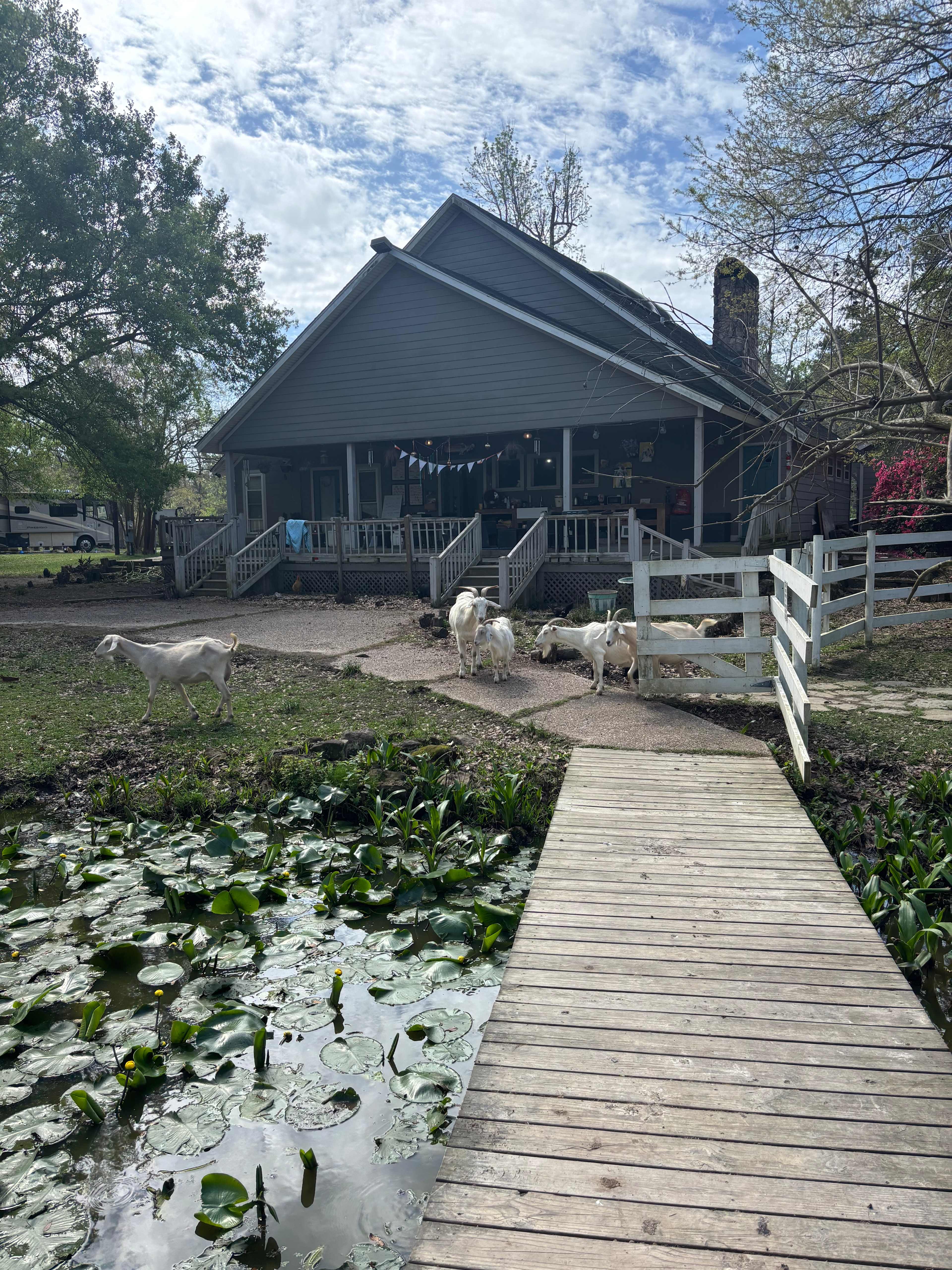 Snow White Sanctuary