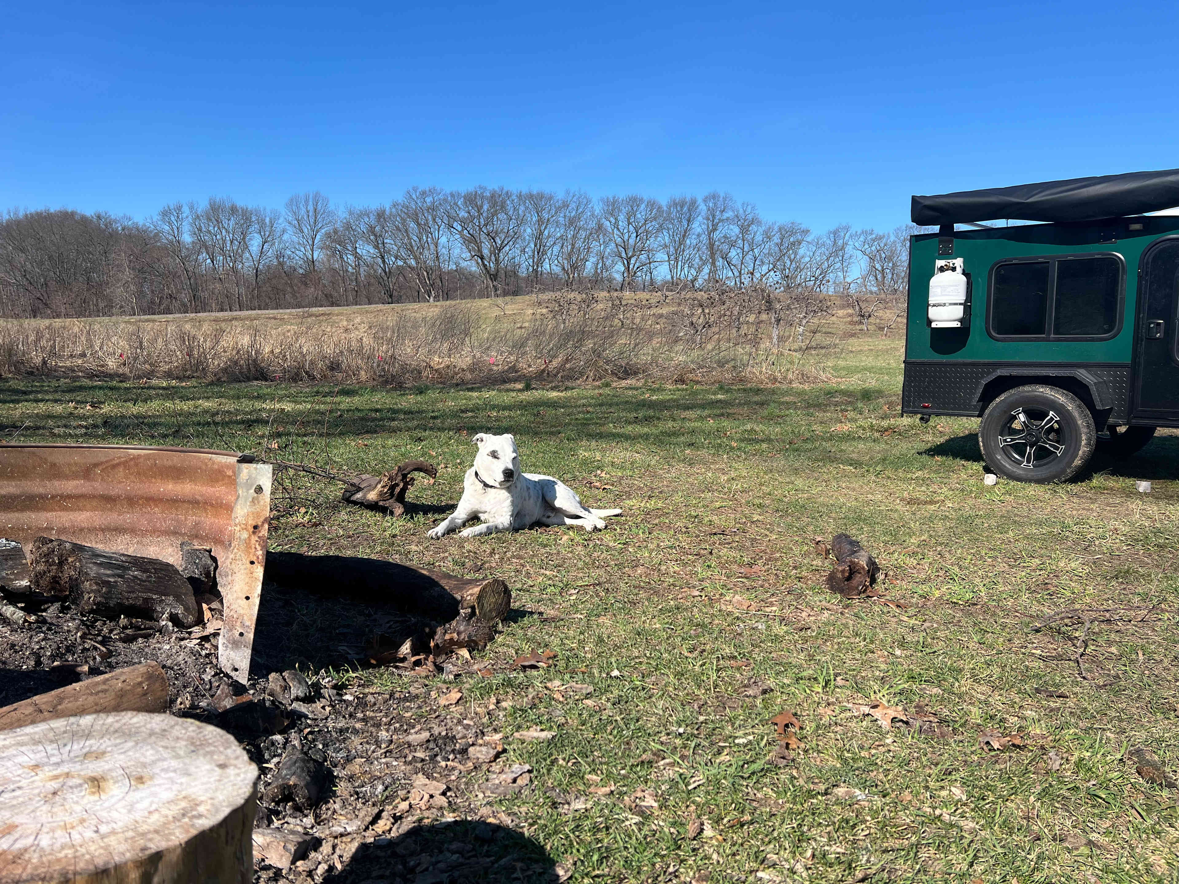 Organic Apple Orchard and Farm