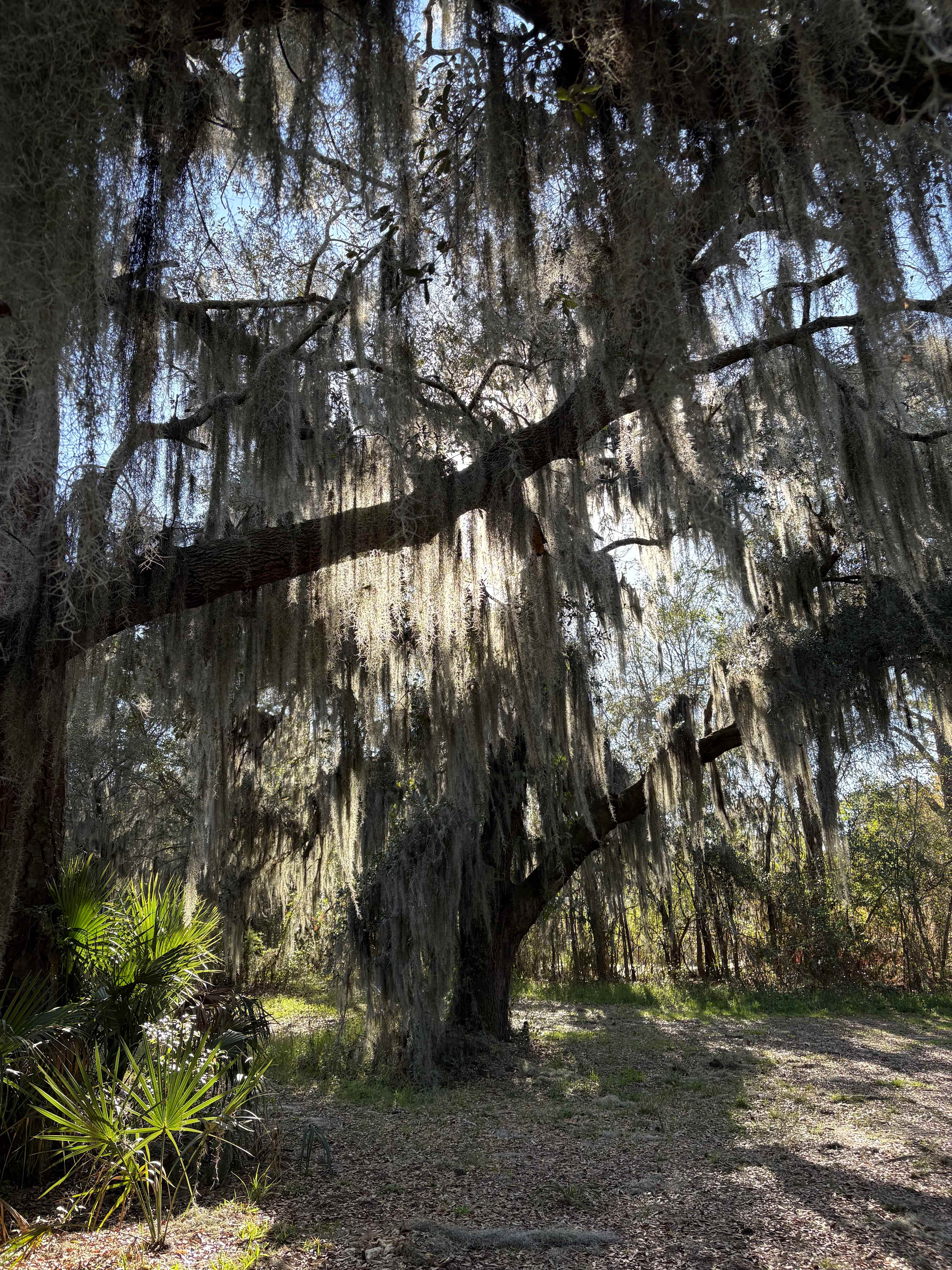 Glam Camp At The Old Dairy