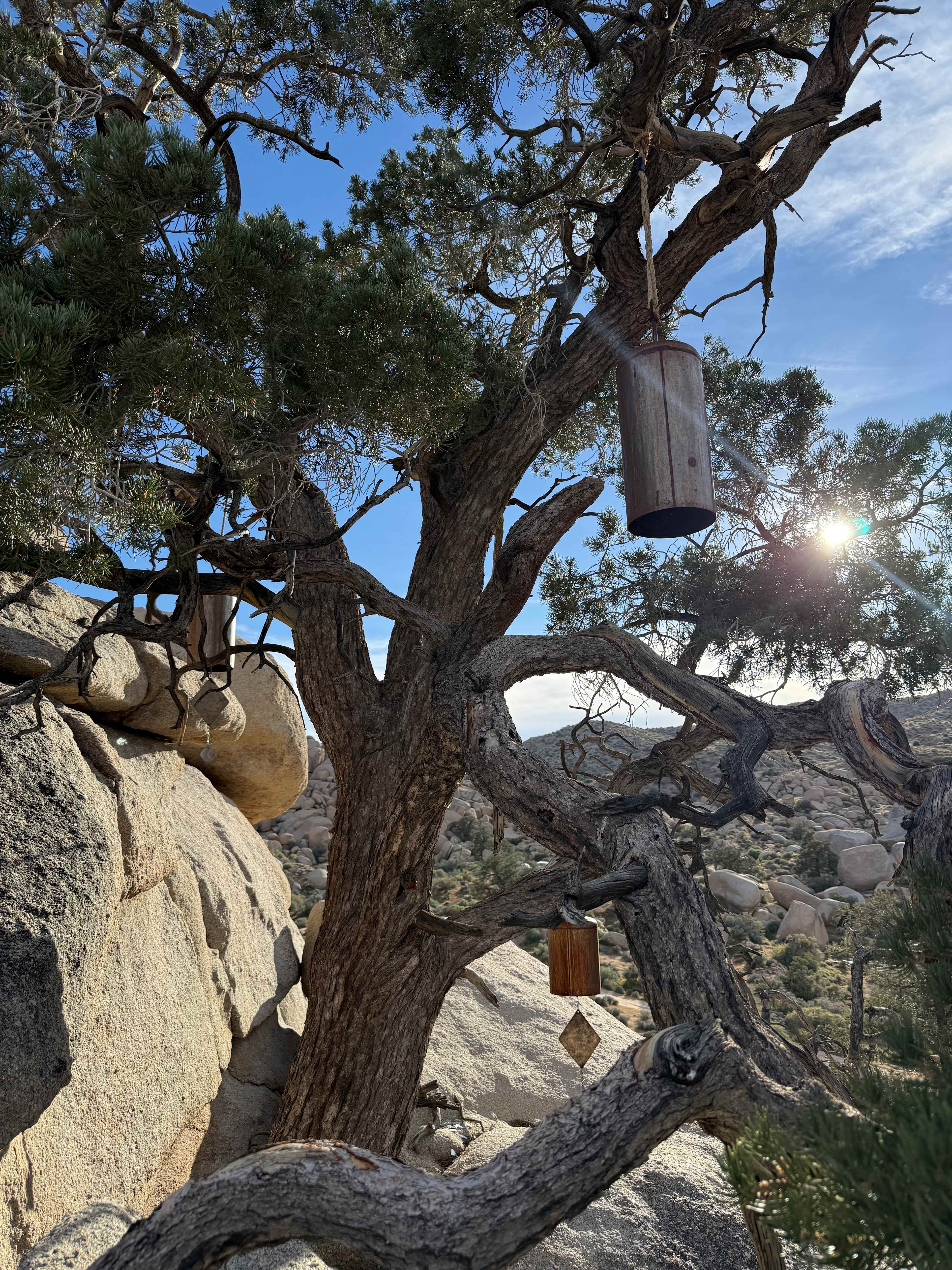 Boulder Gardens Sanctuary