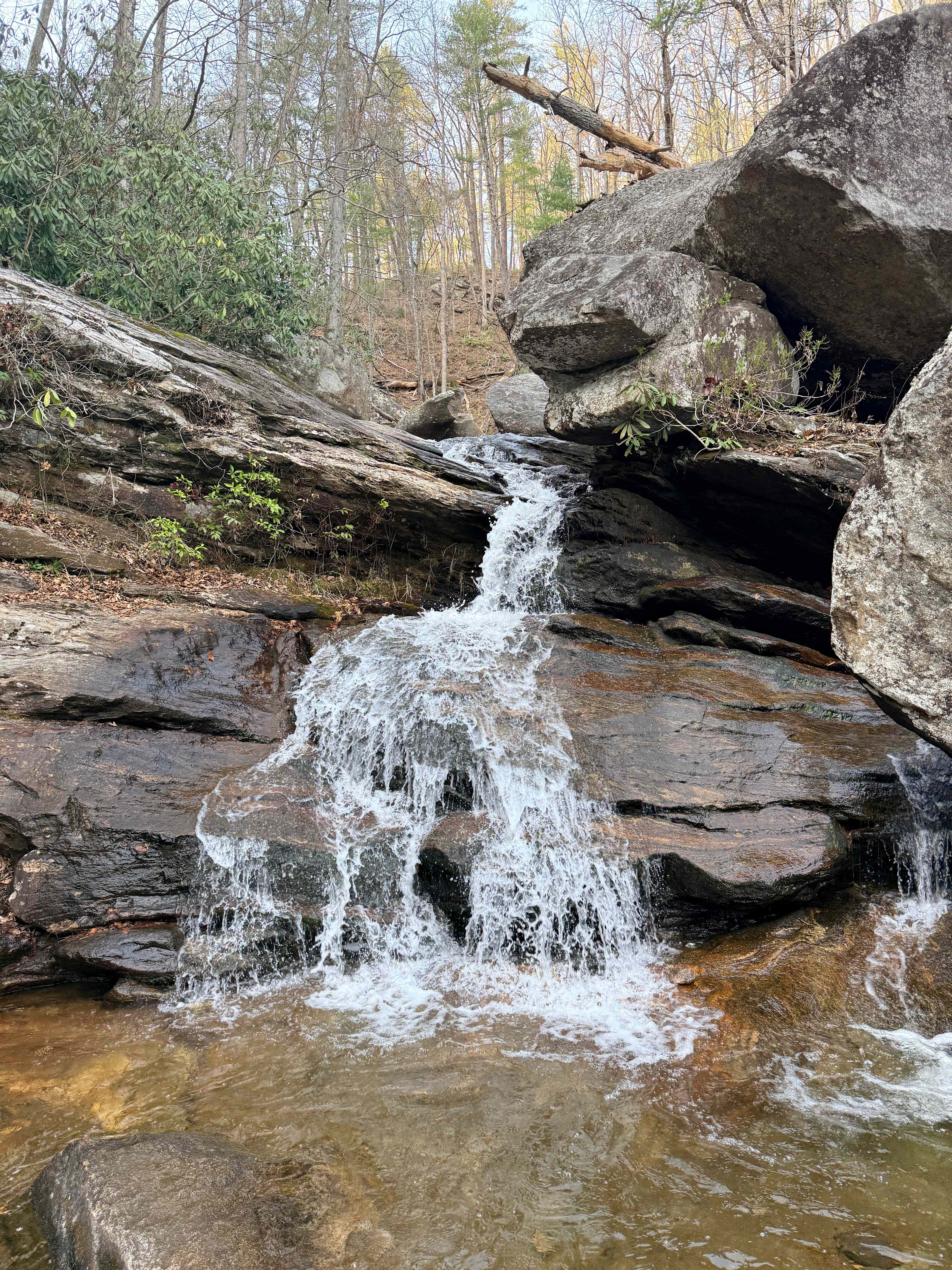 Tellurian Family Campground