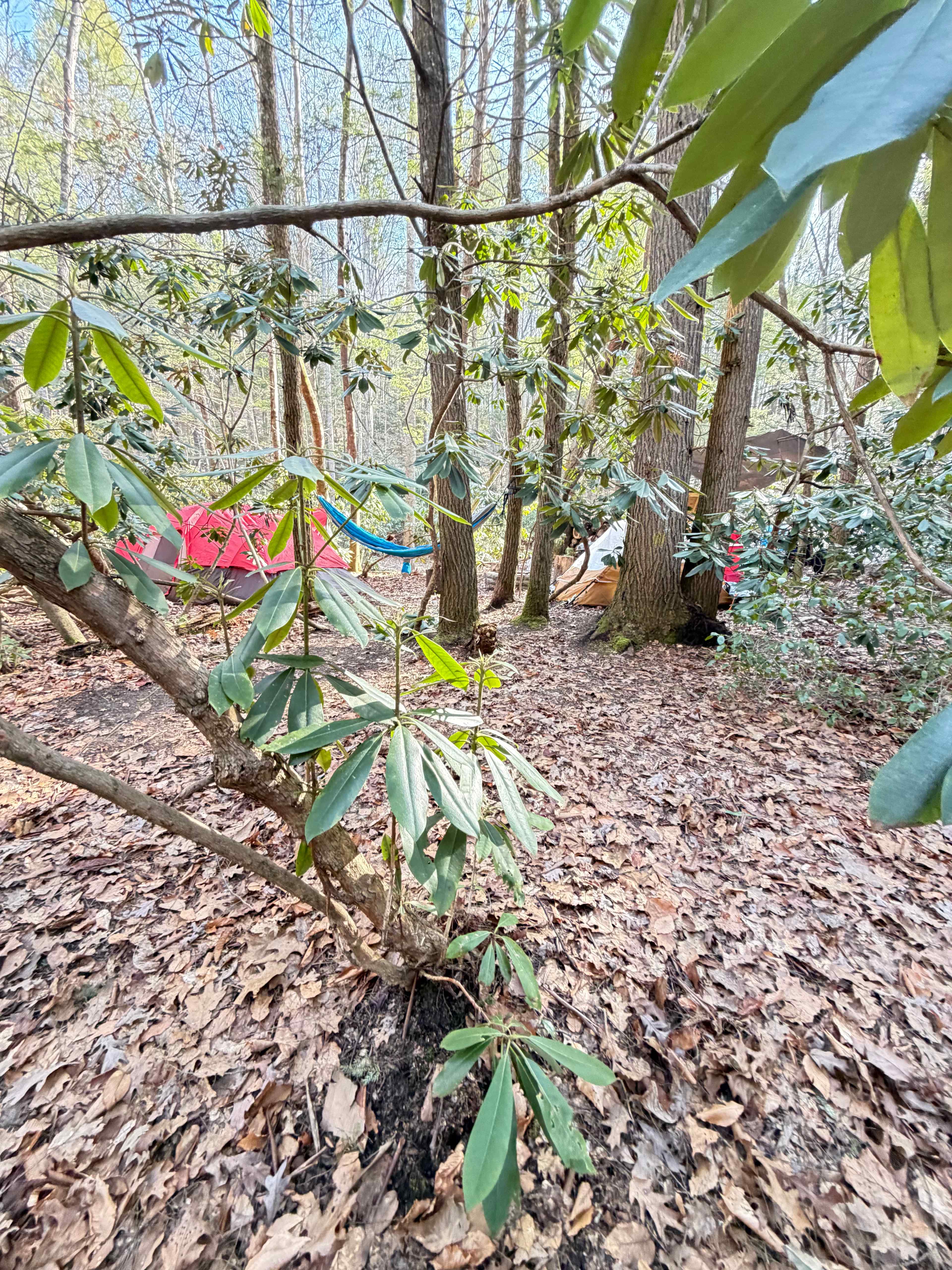 Possum Holler Camp- New River Gorge