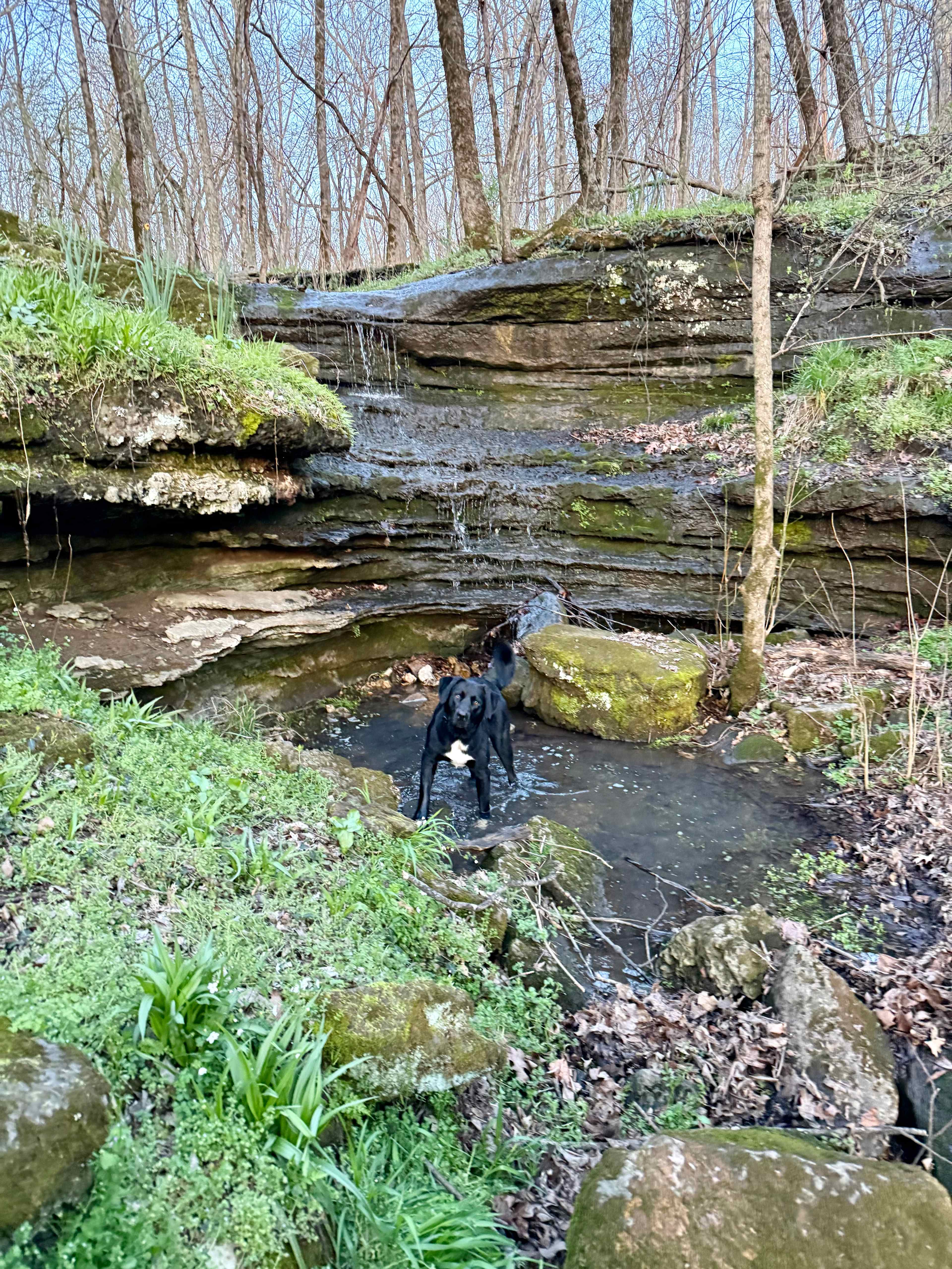 Illinois River Paradise | 60 Acres