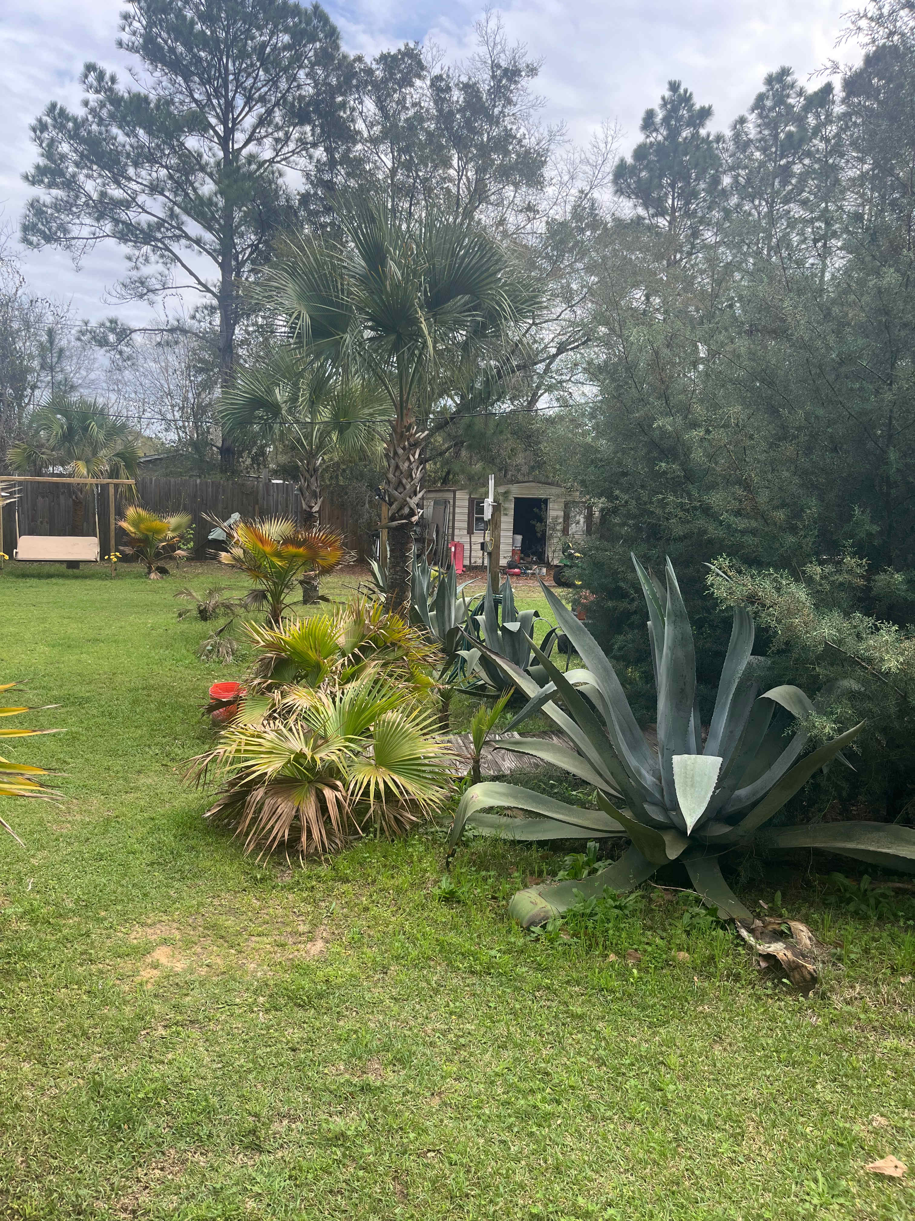 Malakai 🏕 different by design