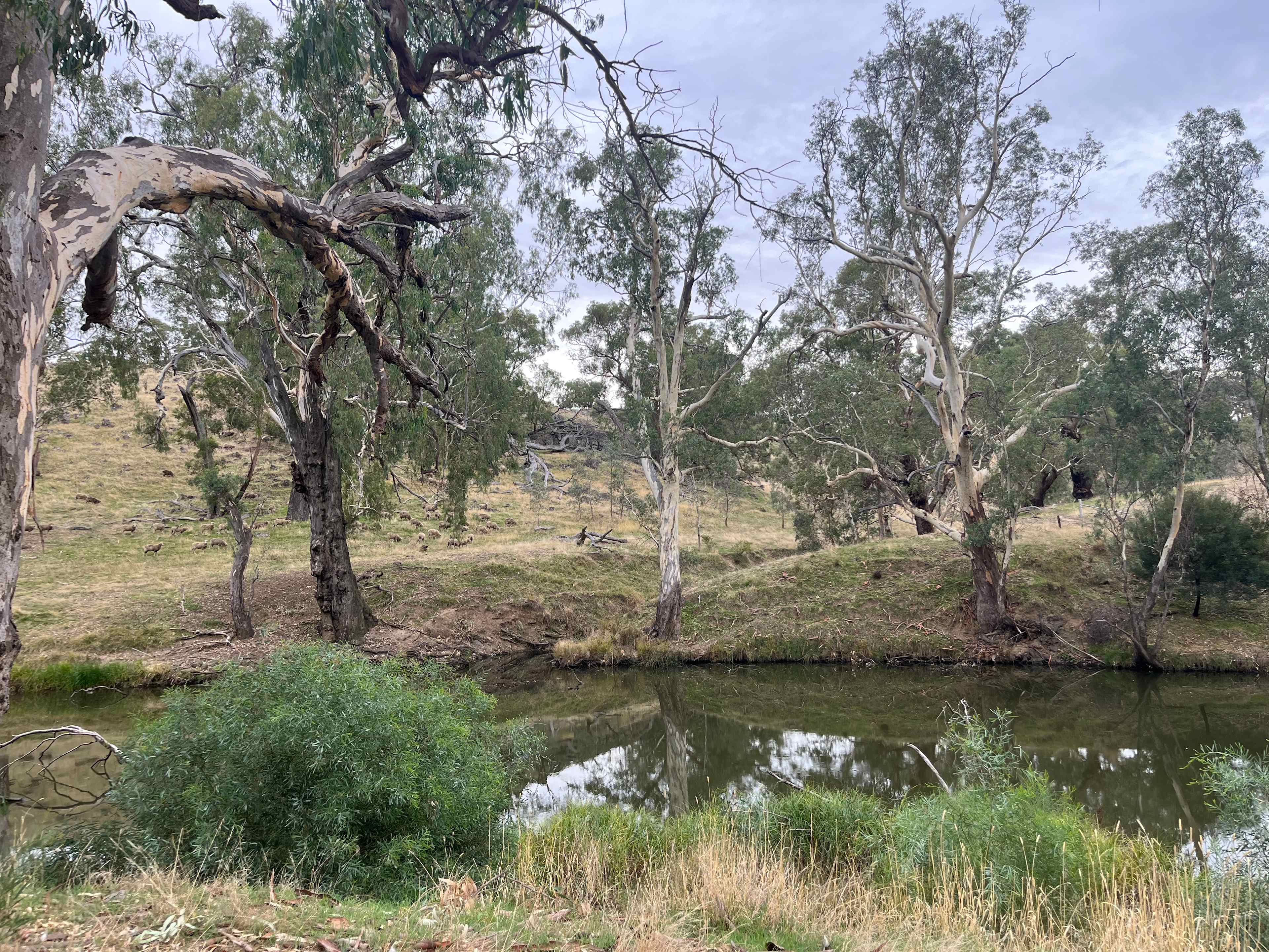Campaspe Camping