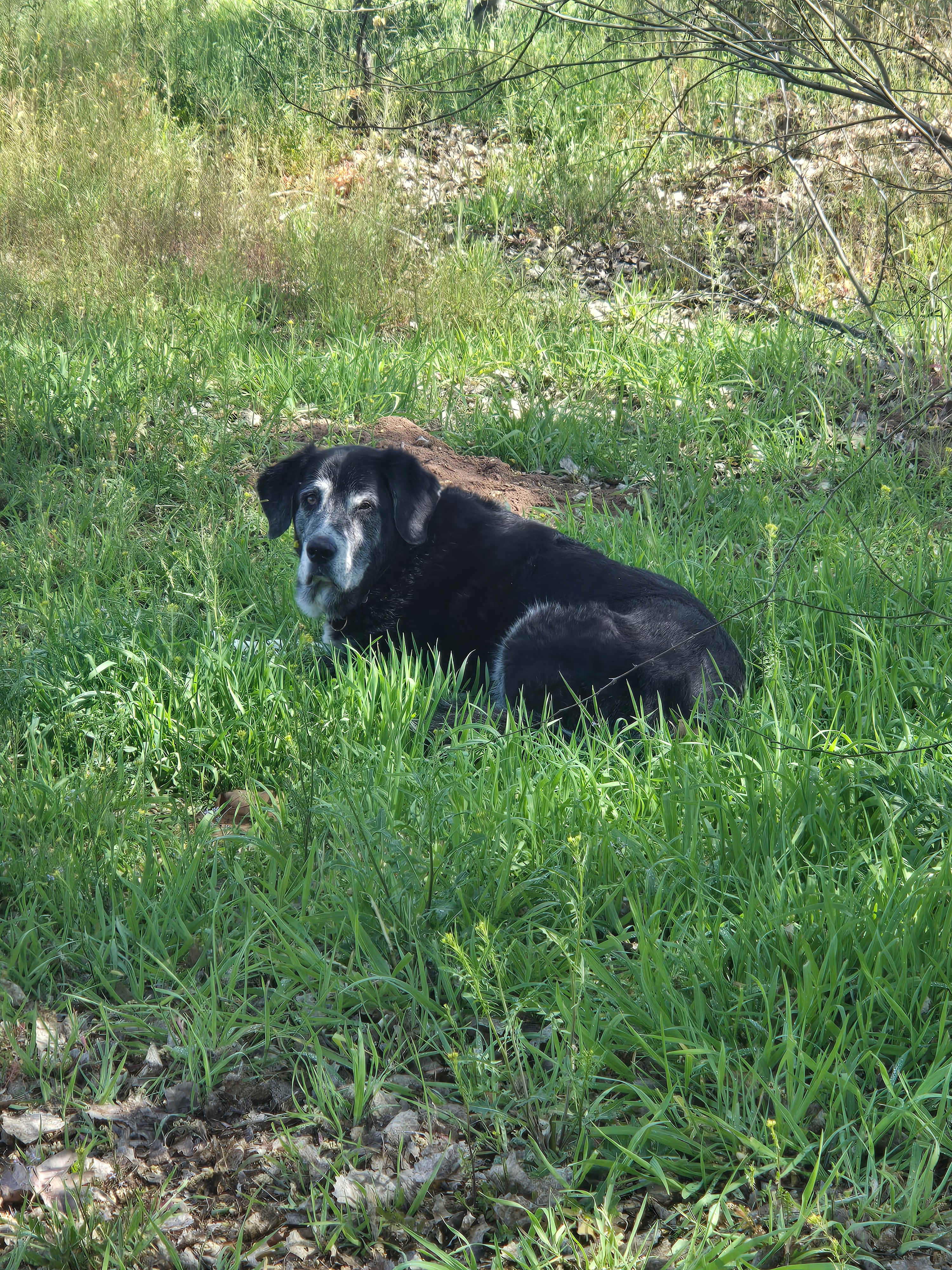 Humming Bird Campsite