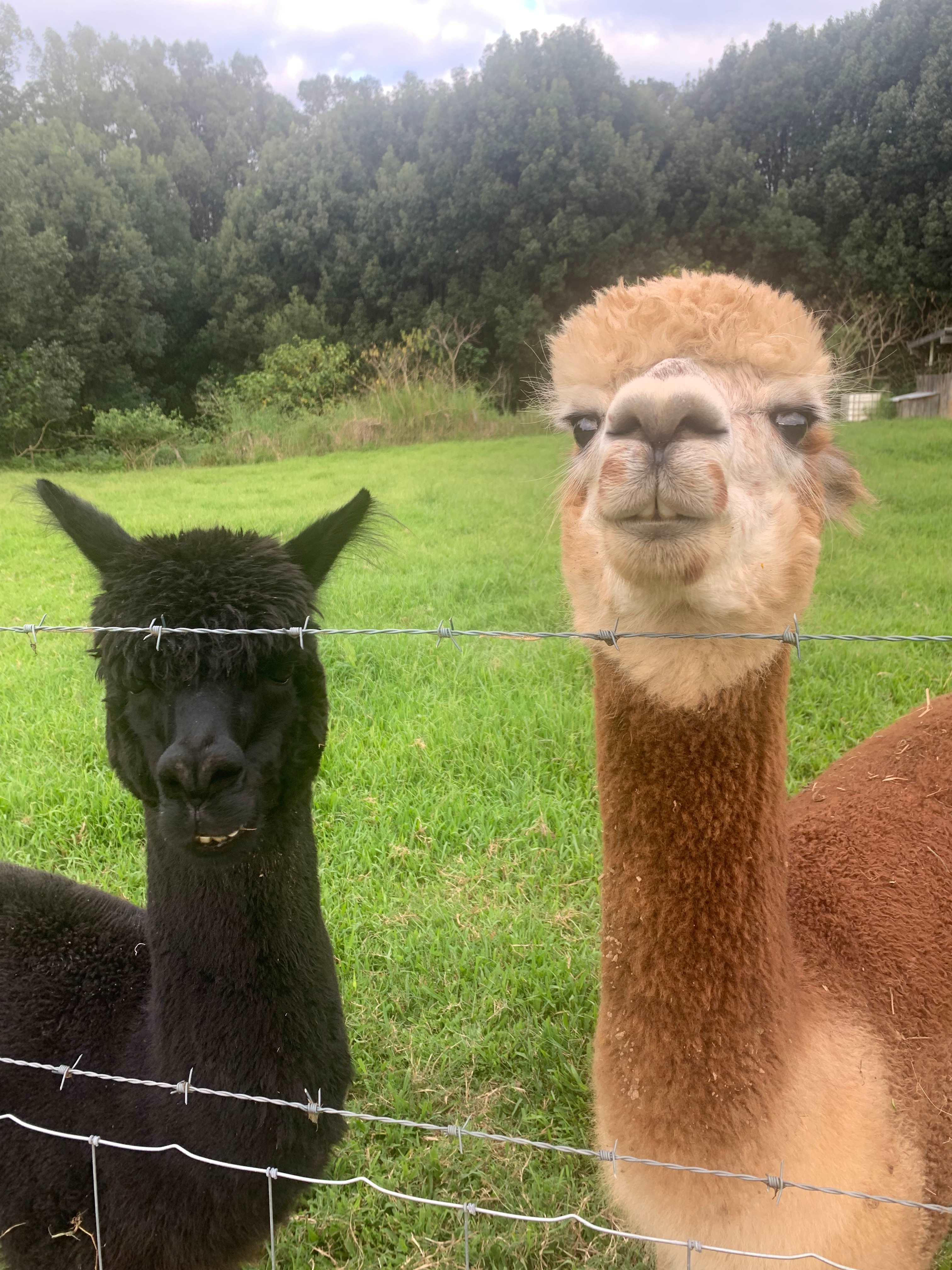 Stokers Creekside Stay