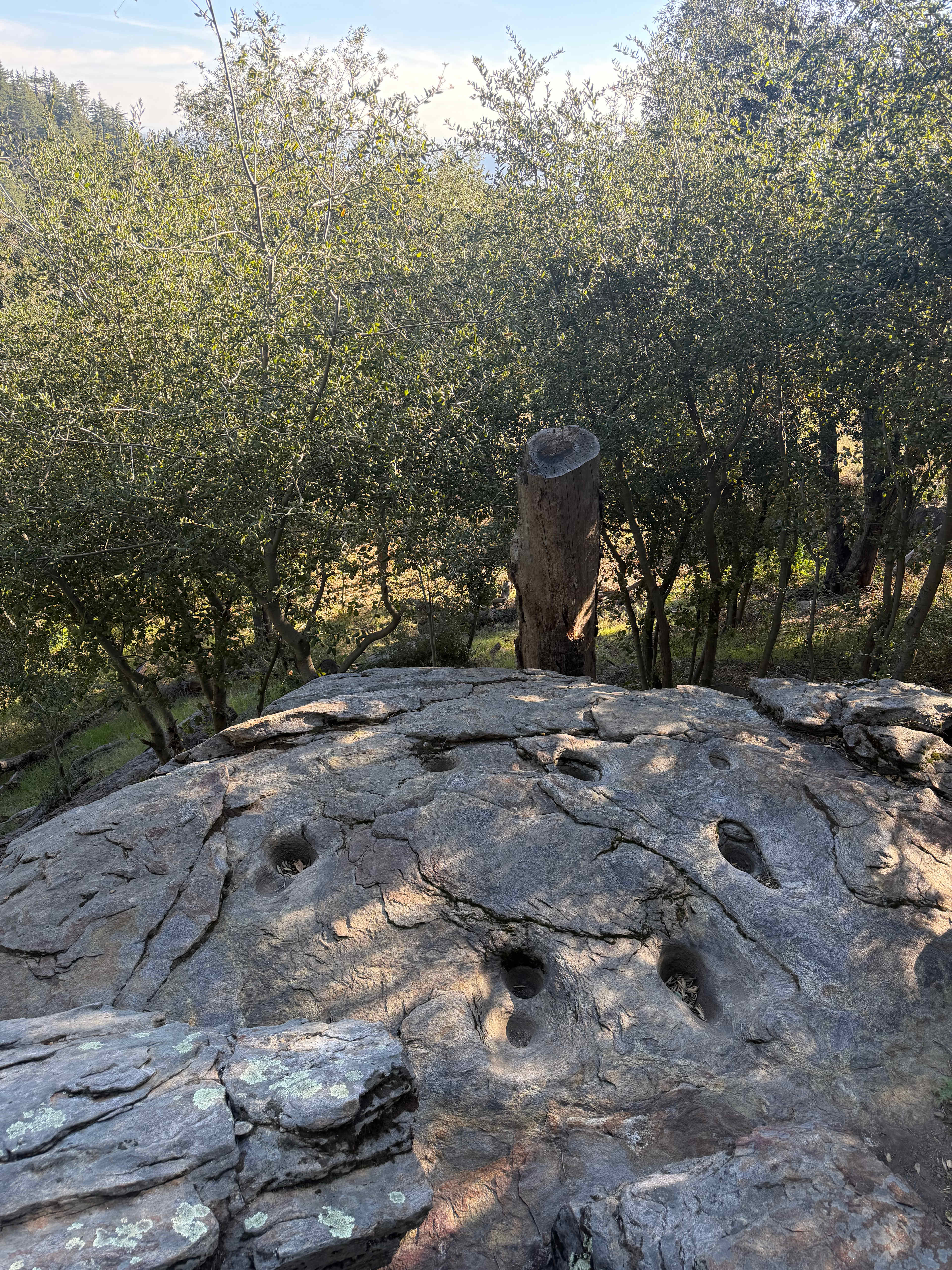 Magical Harrison Serenity Ranch