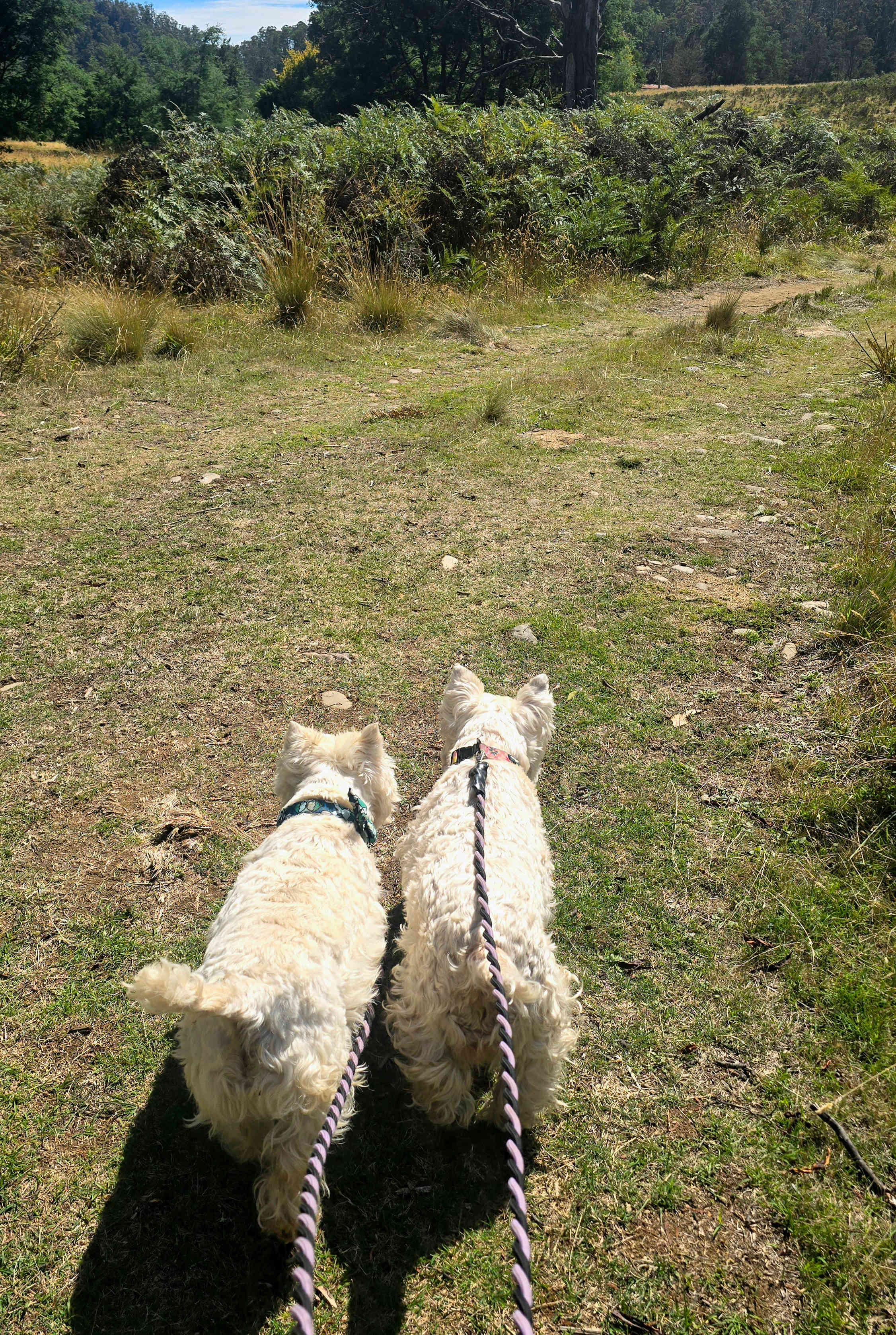 Stooge Farm Wilderness Retreat