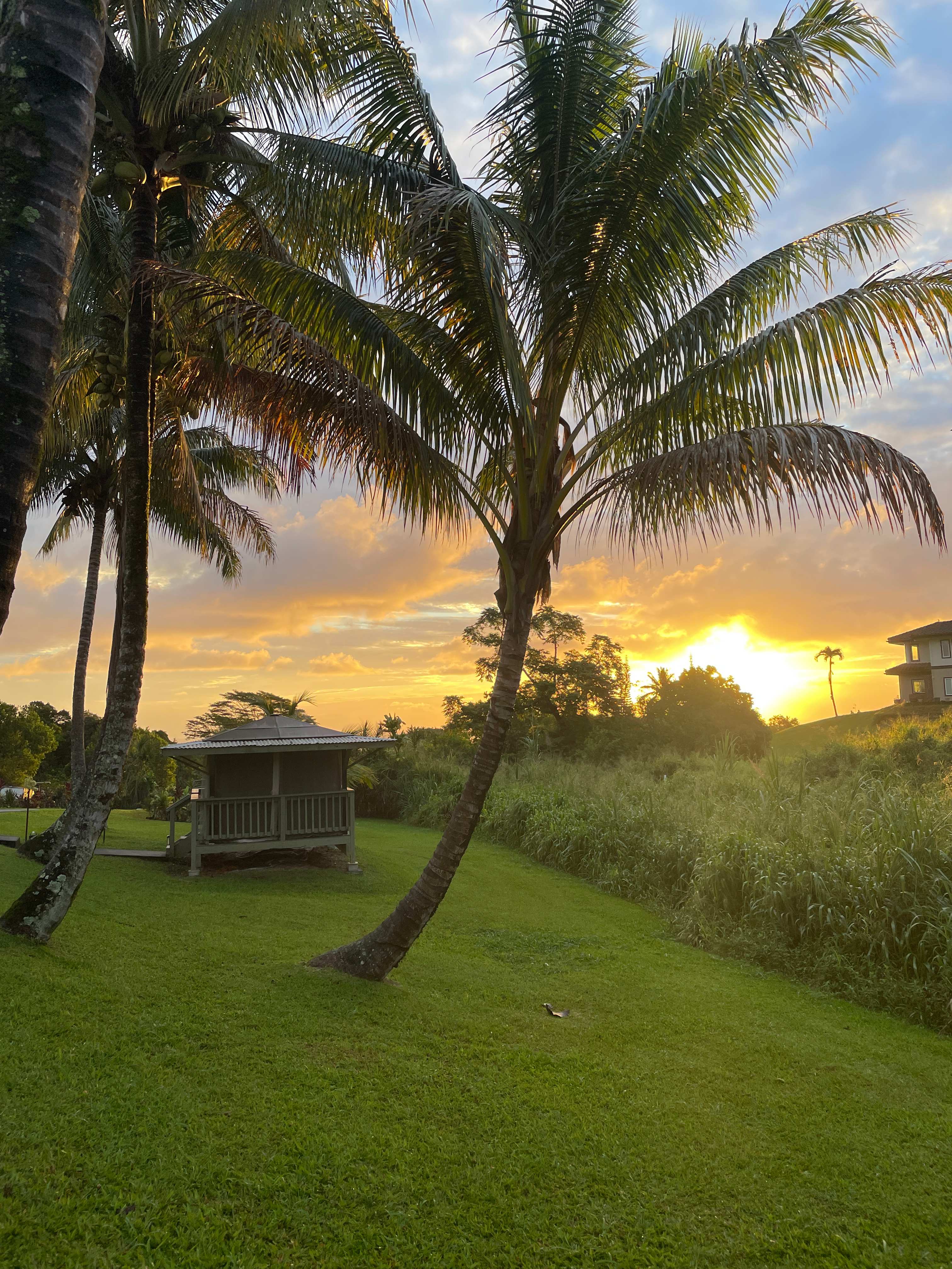 Hamakua Guesthouse