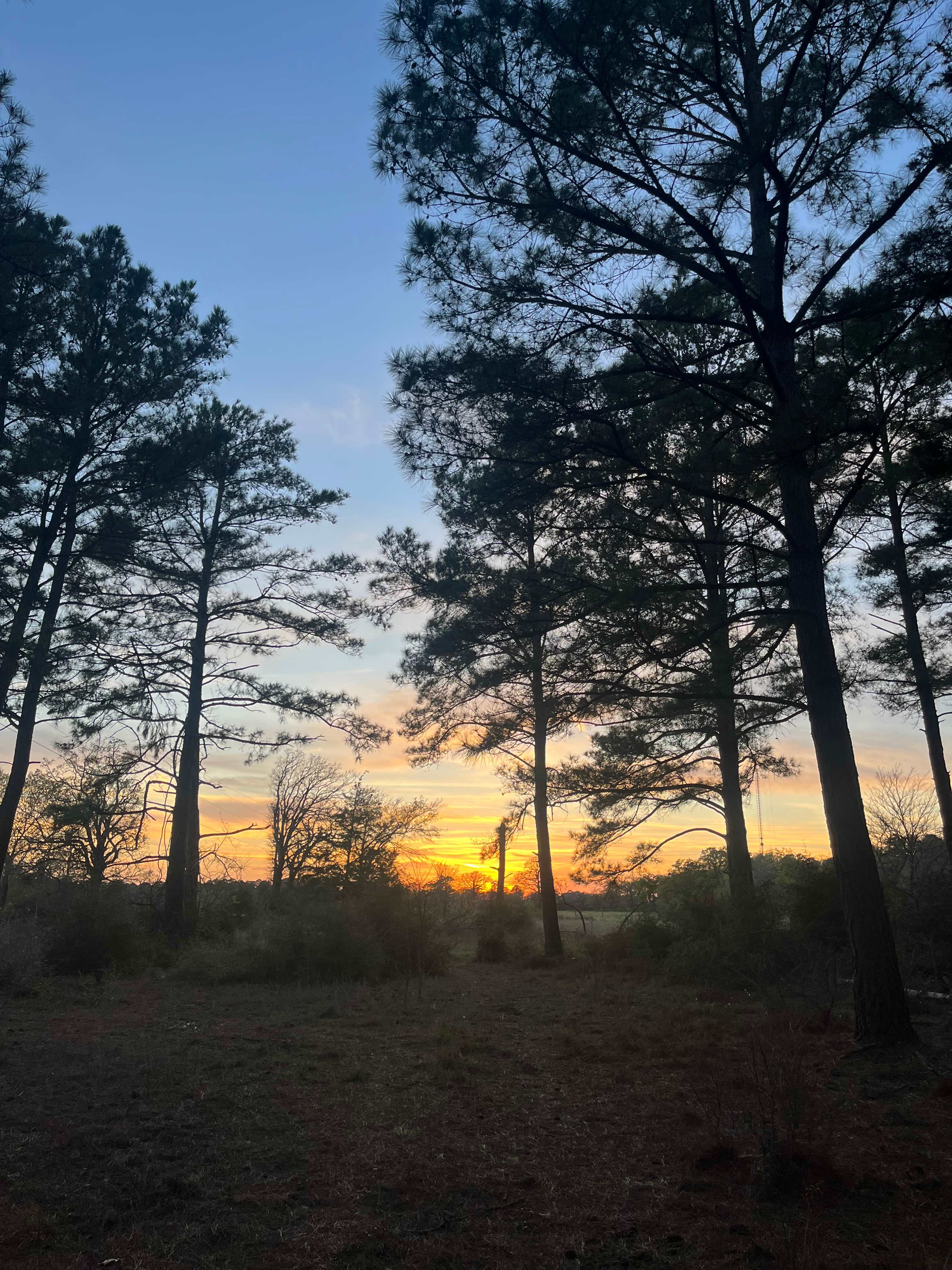 Briers  Ranch Primitive Camping