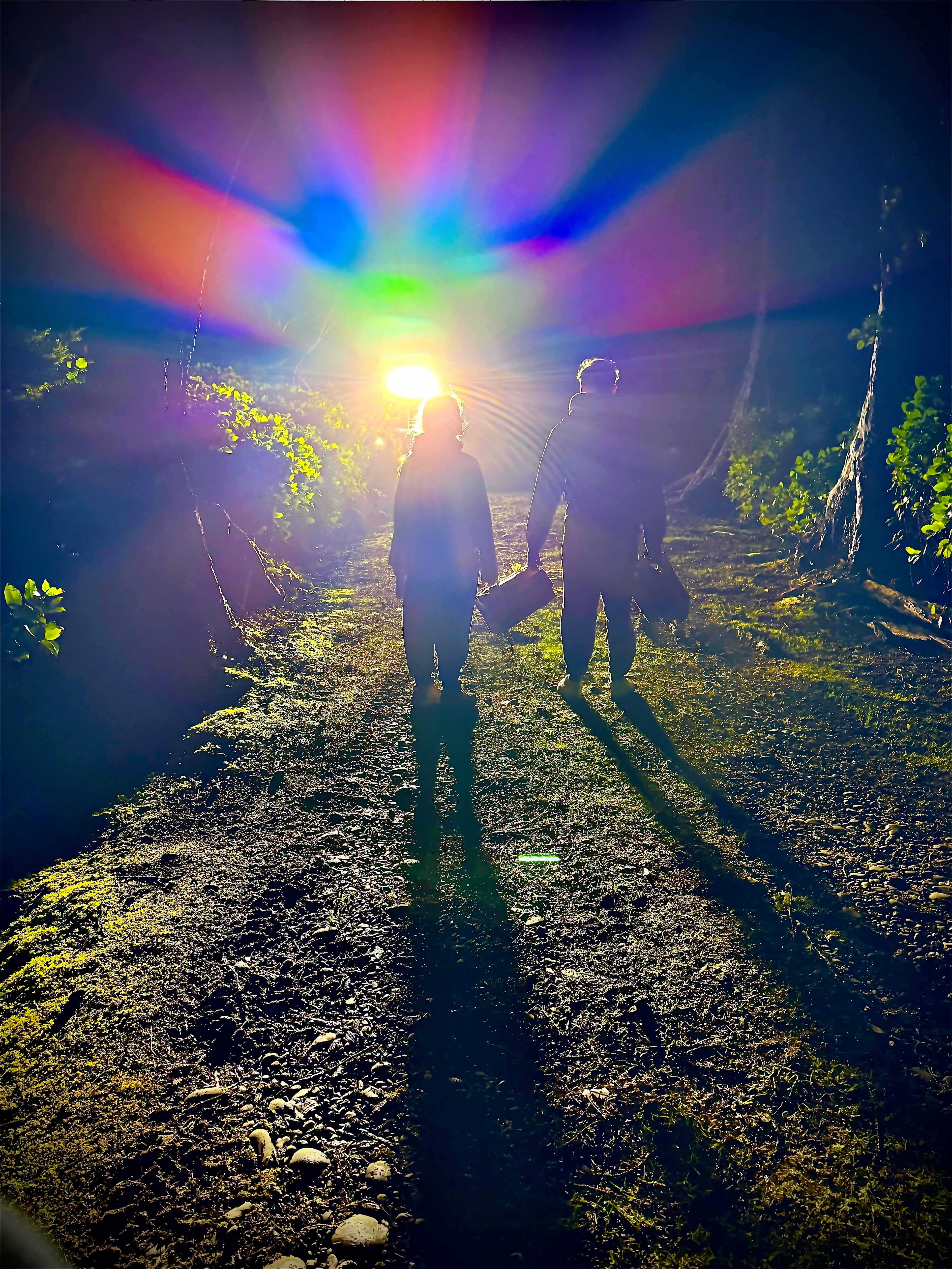 Wild WA Coast Lookout ($75 - $125)