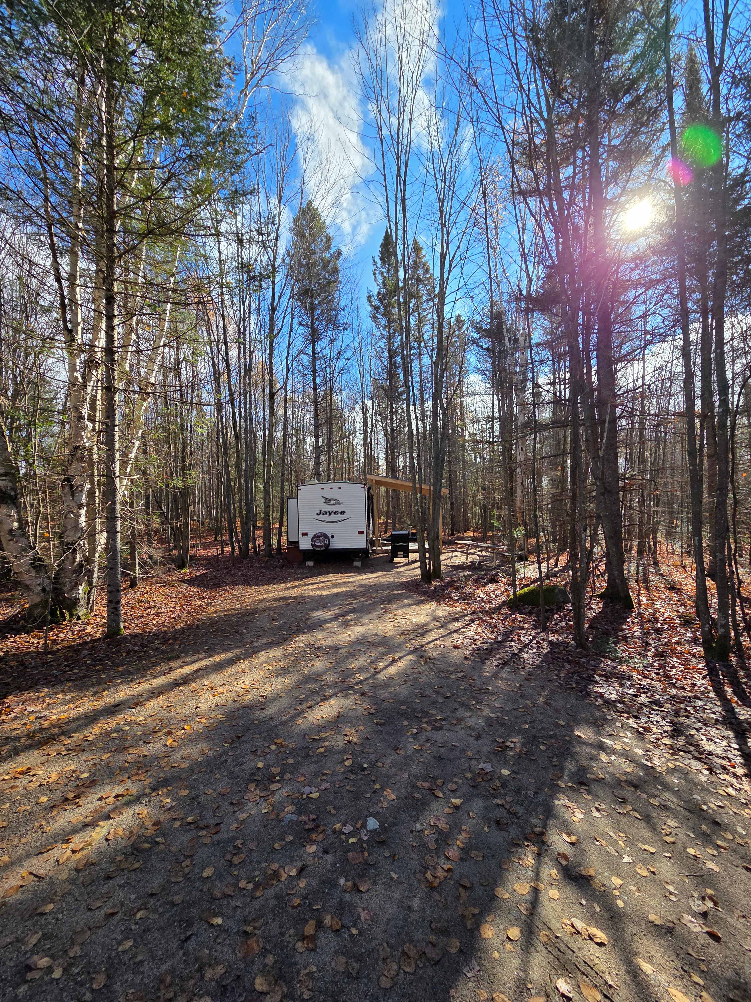 Picture of the site