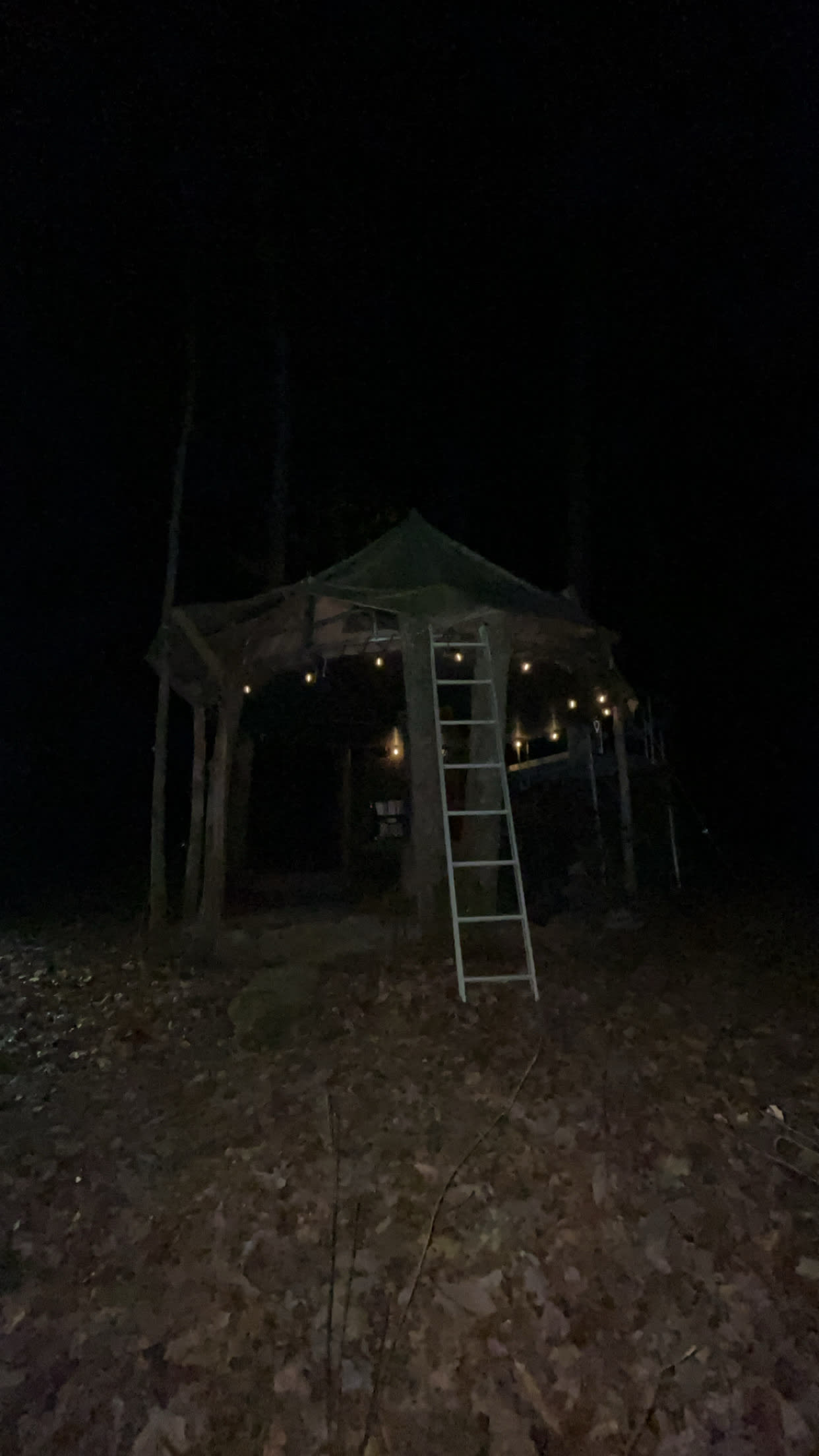 The Falls at Sewanee Creek