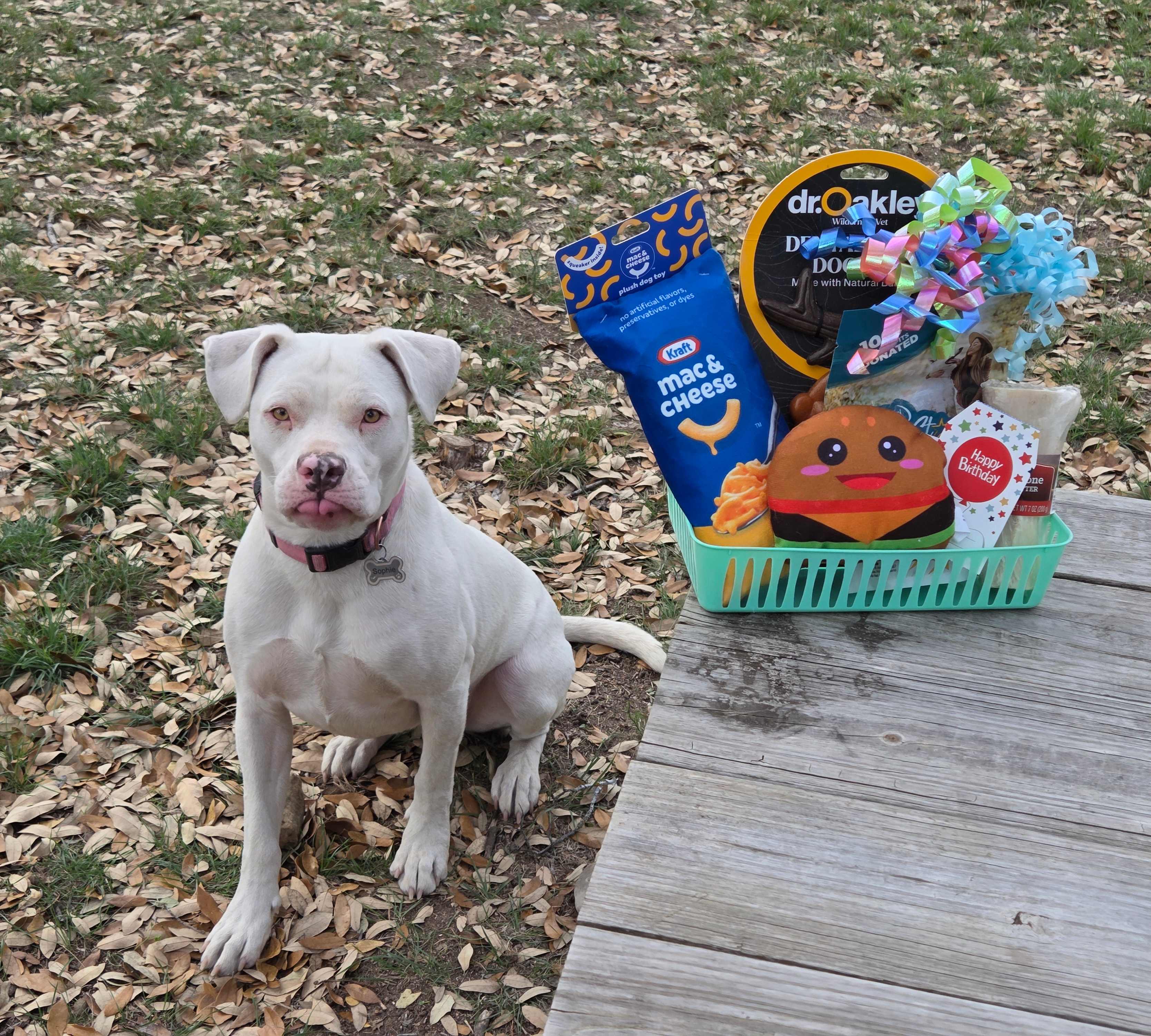 Birthday gifts for my bestie!