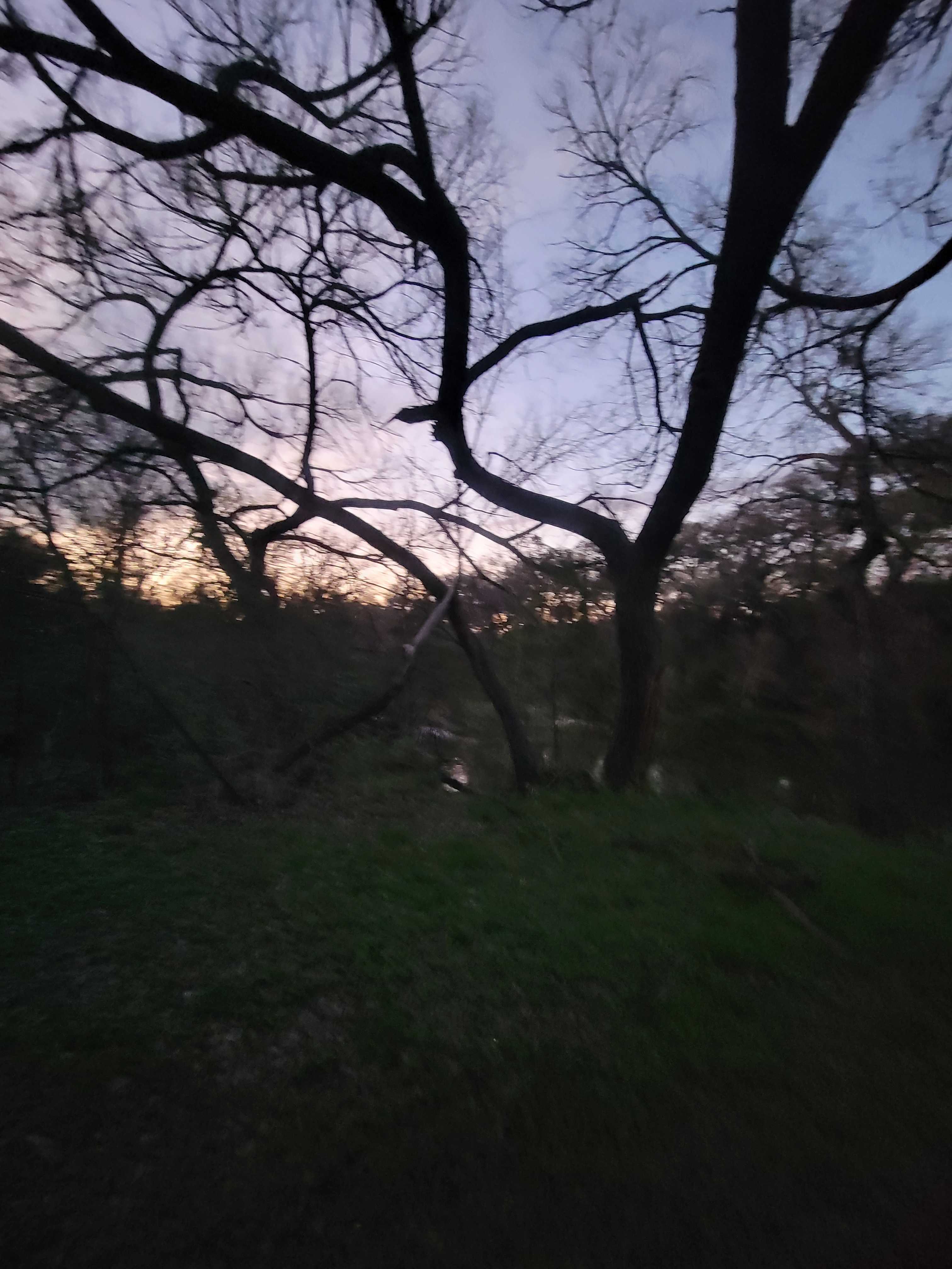 Creekside Coach Park