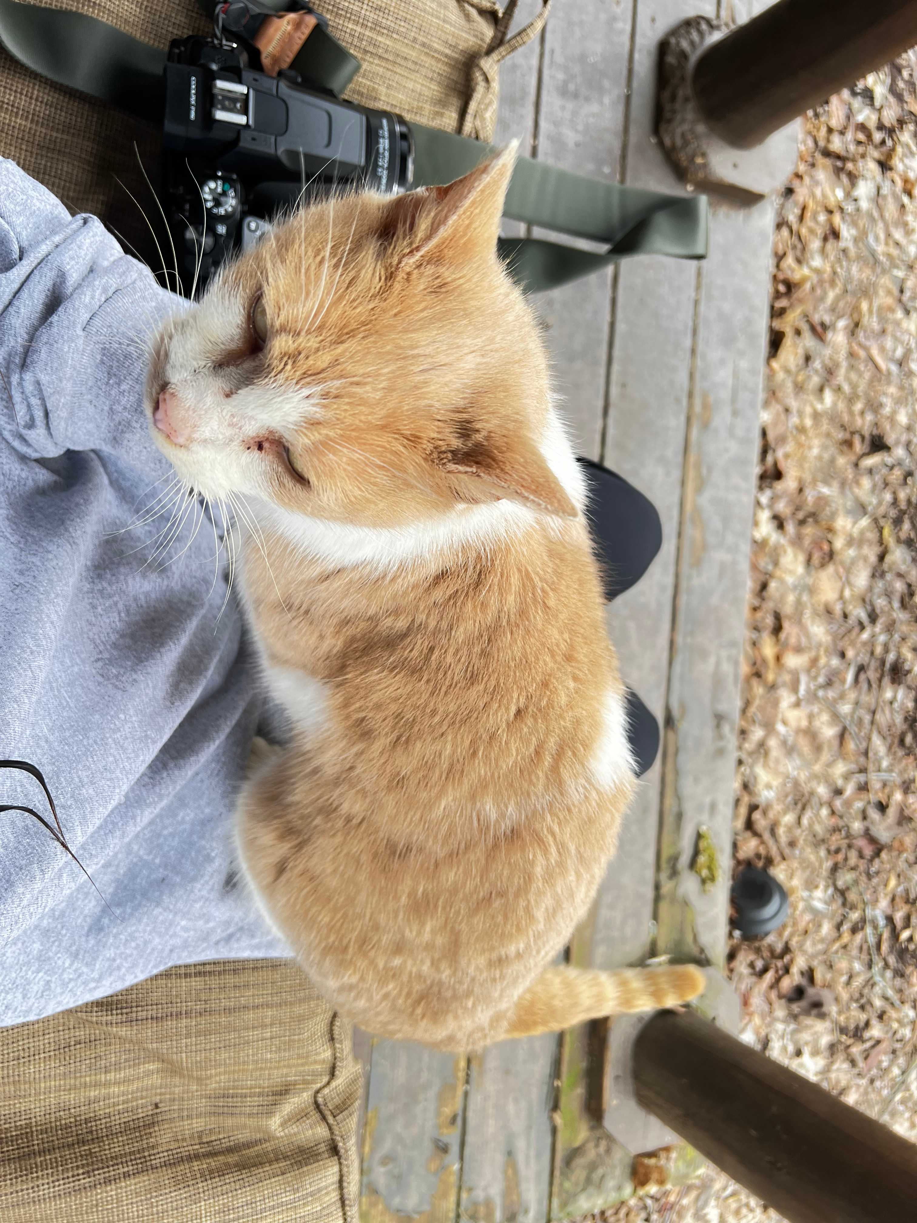 Shiloh, my best friend 