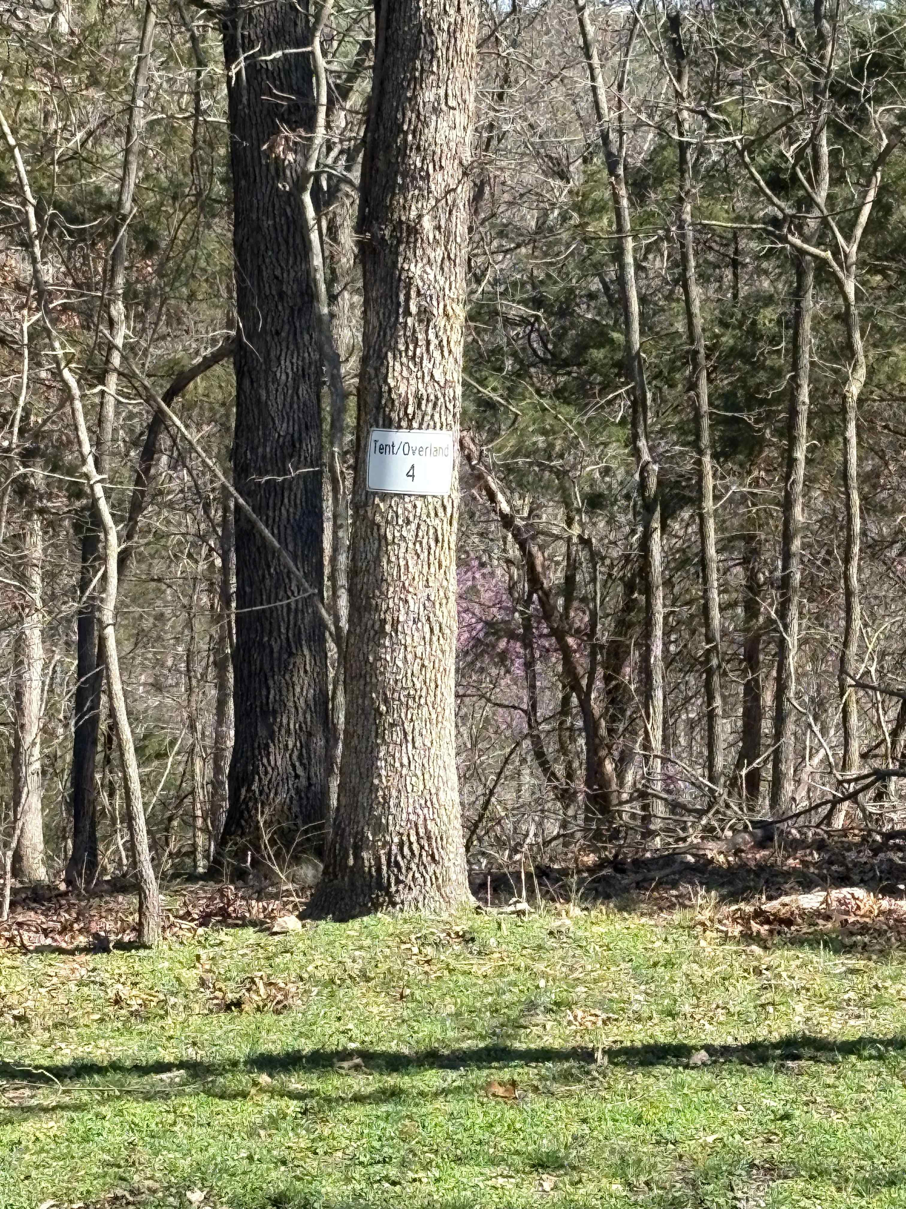 Look for sign with 4 on it.