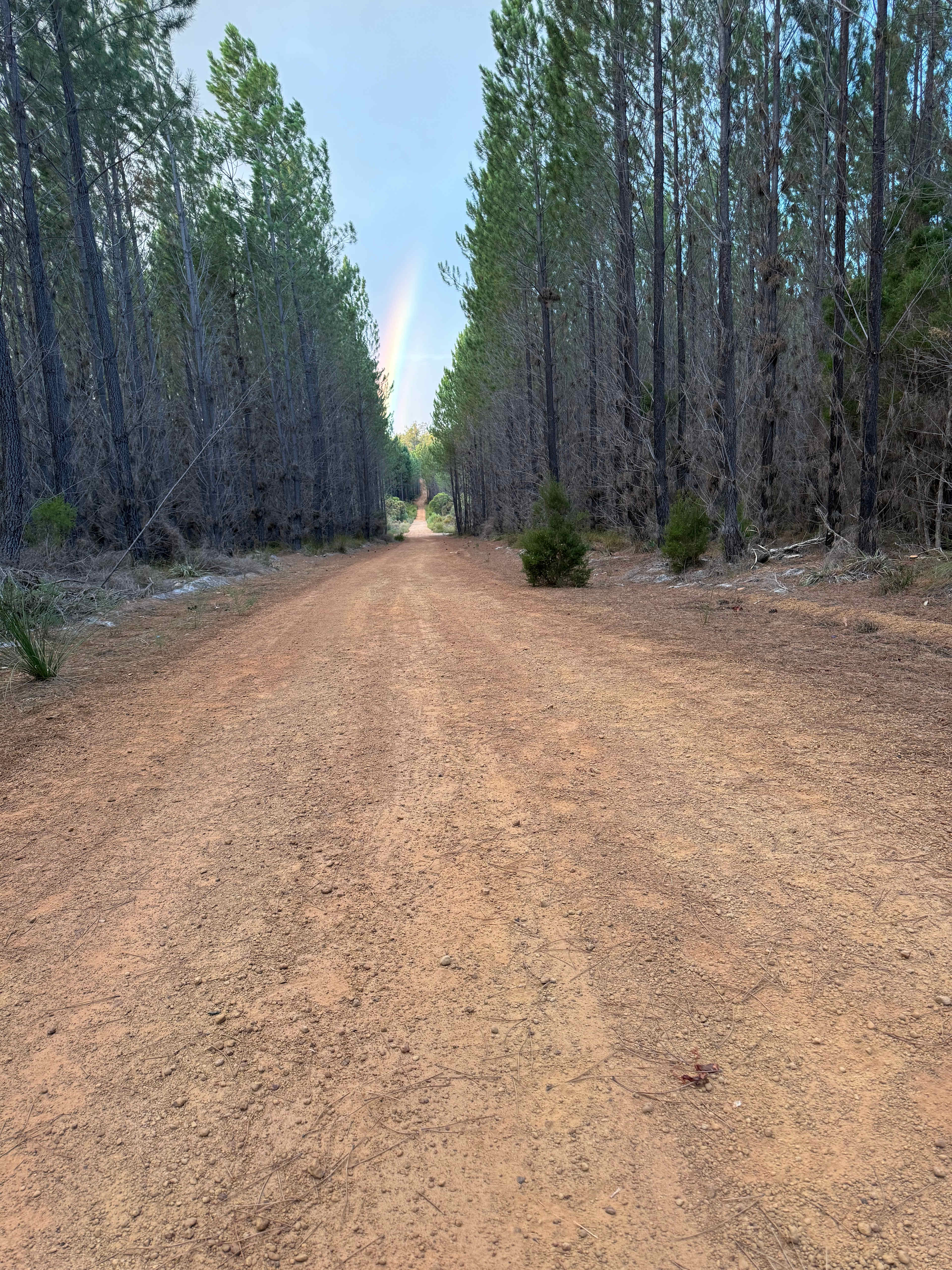 Candlelight Country Experience