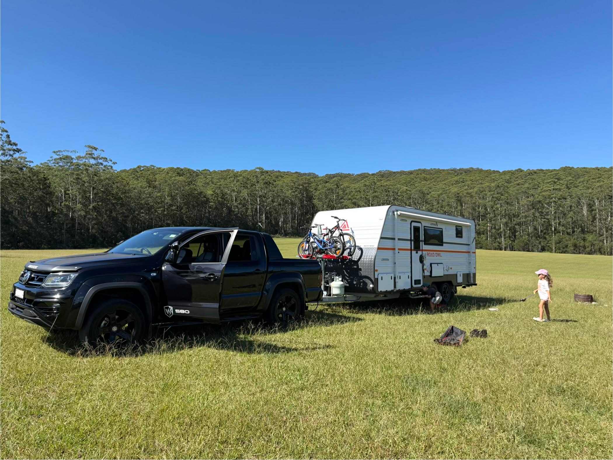 Spirit of the Forest