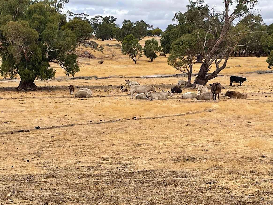 Peaceful Valley Farm