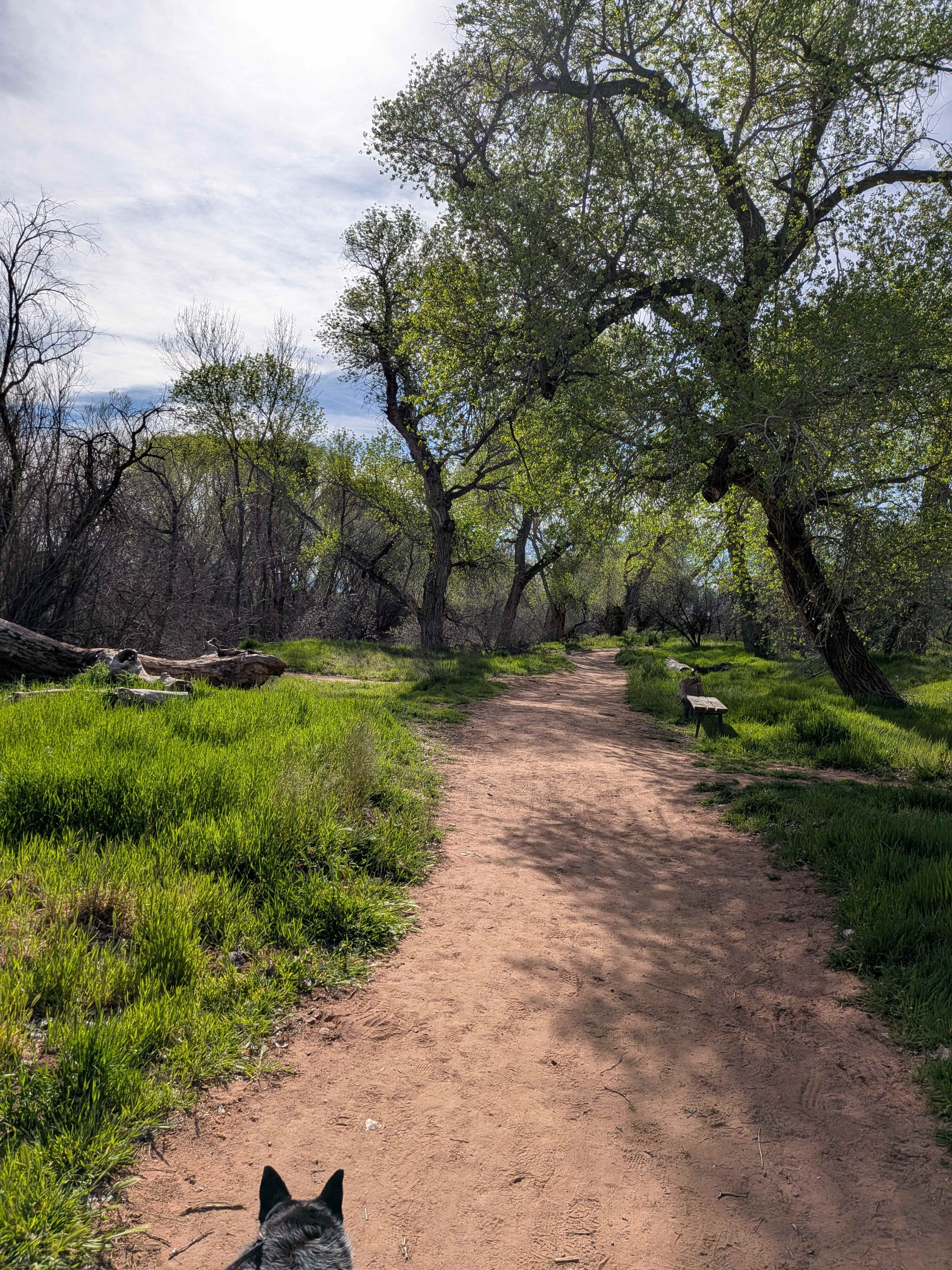 Trail by the river.  (On site)