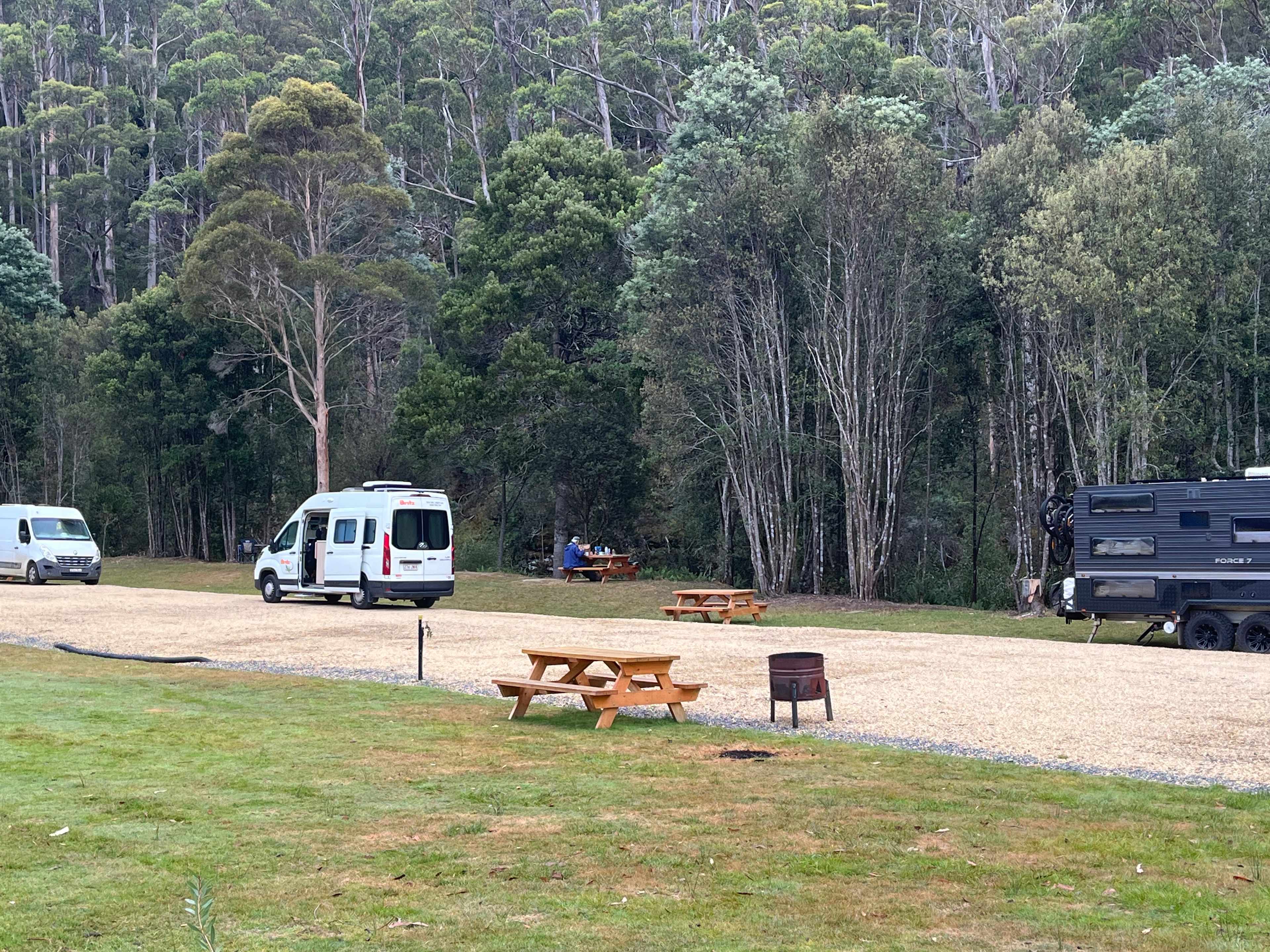 Campsites along the stream