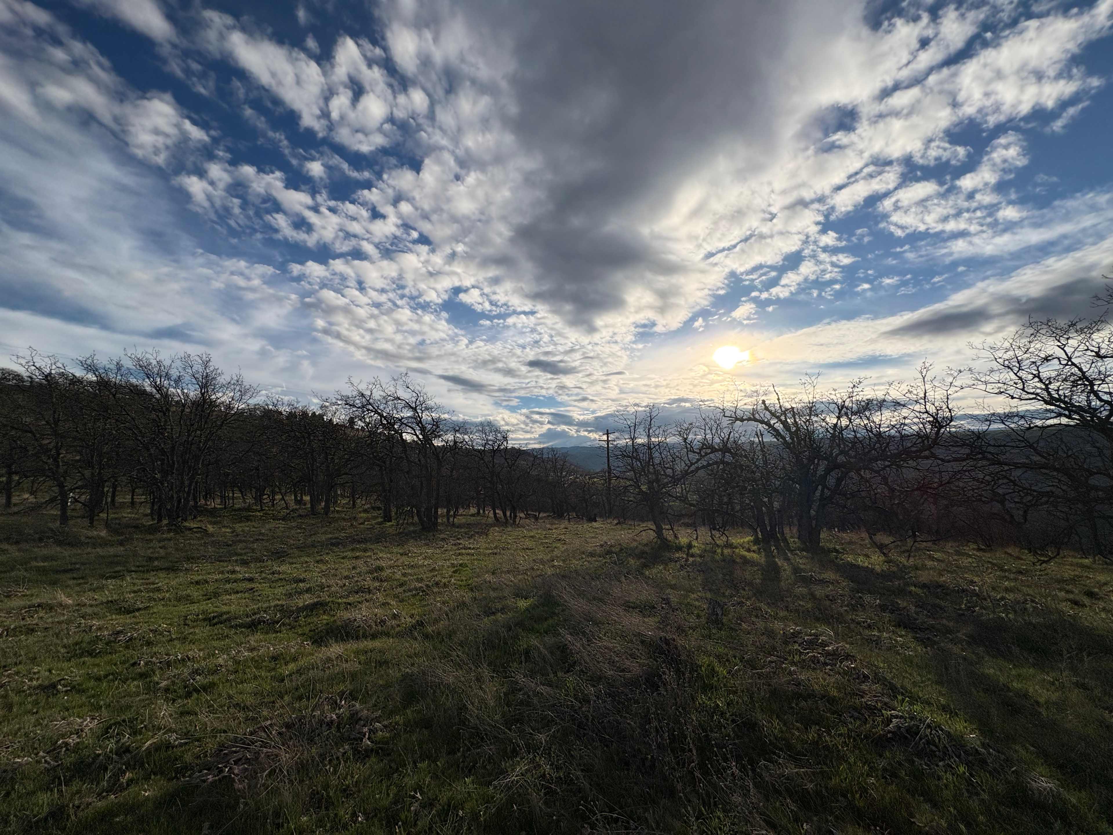 Breathtaking Views in The Dalles