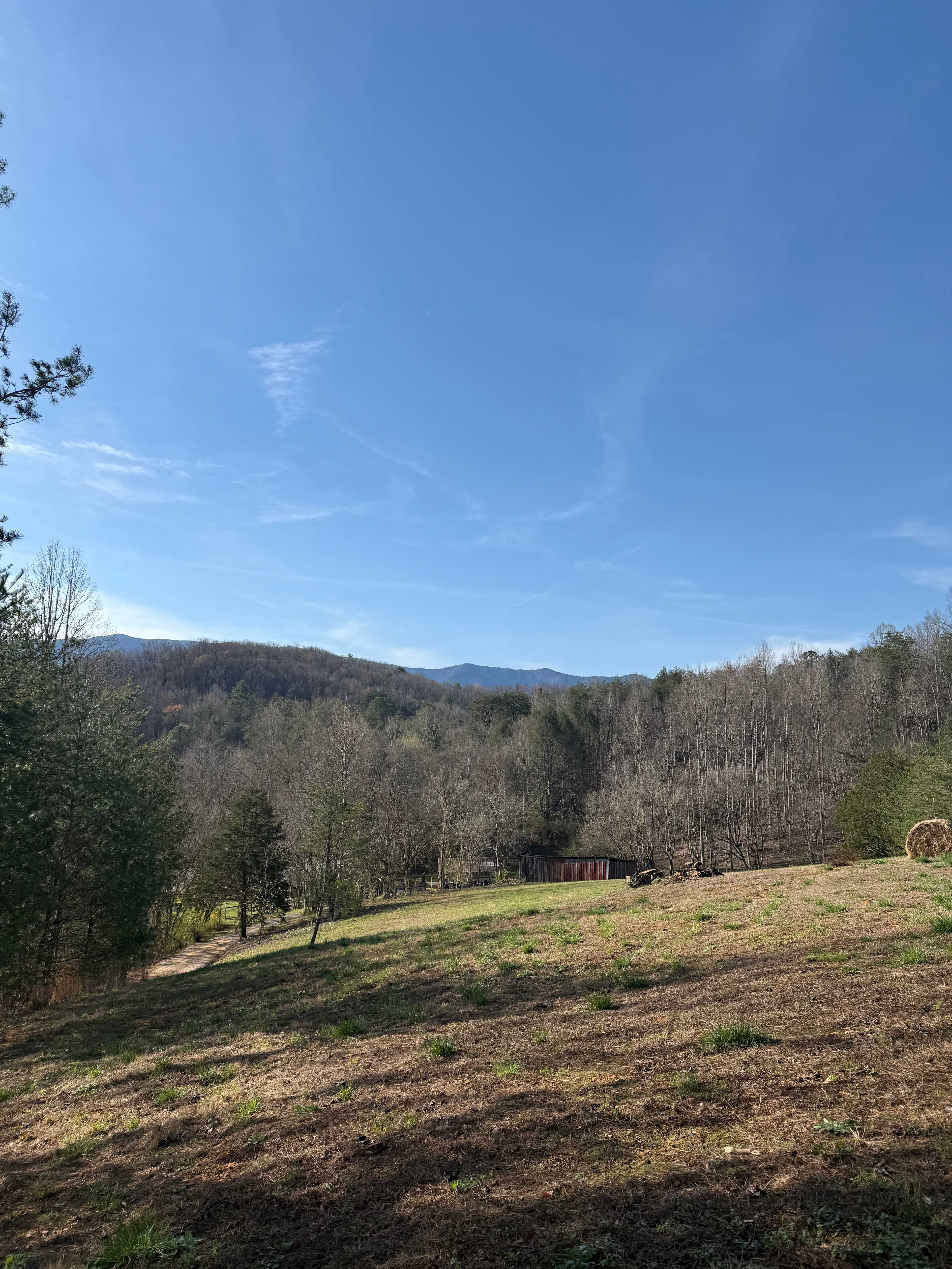 View from campsite #5