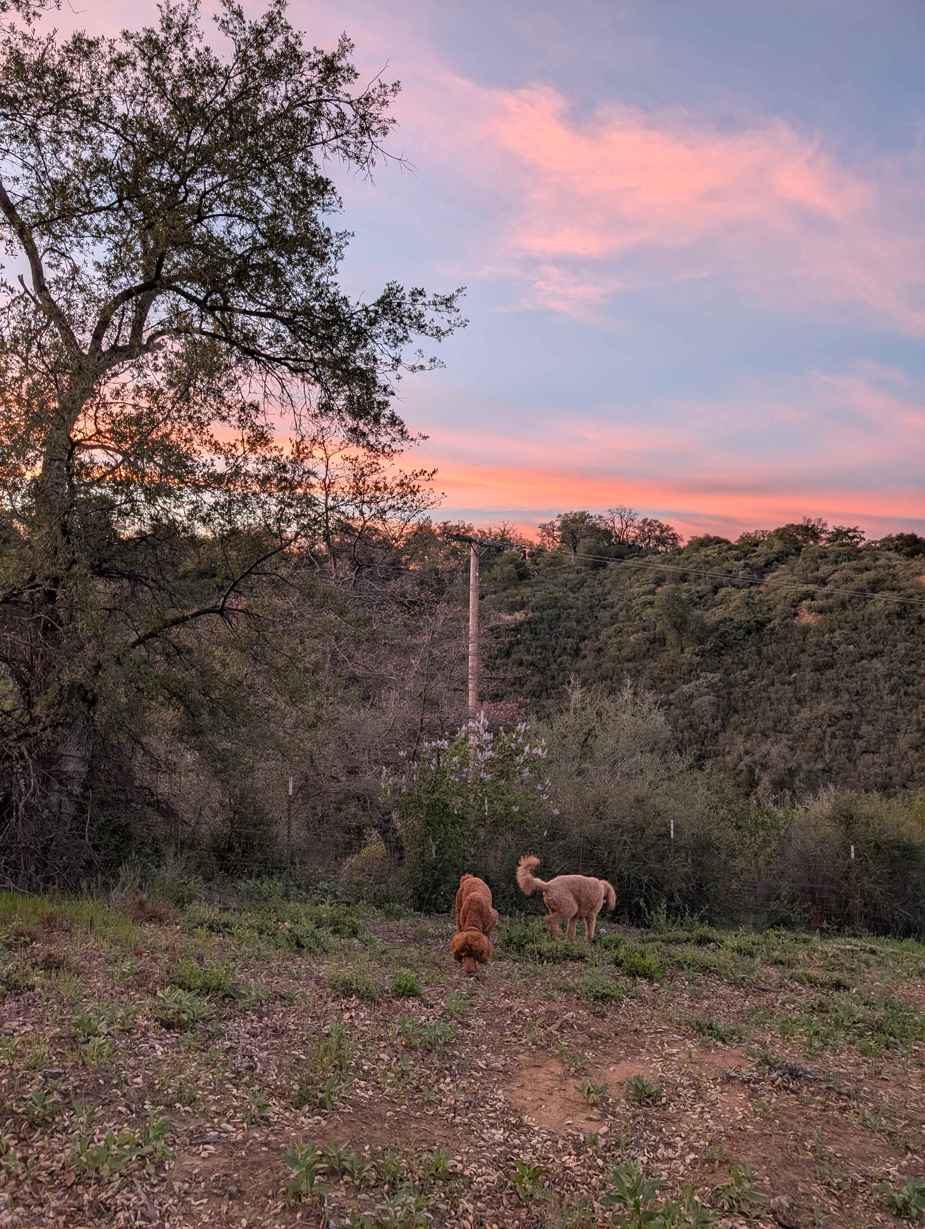 Lake Henshaw hideaway