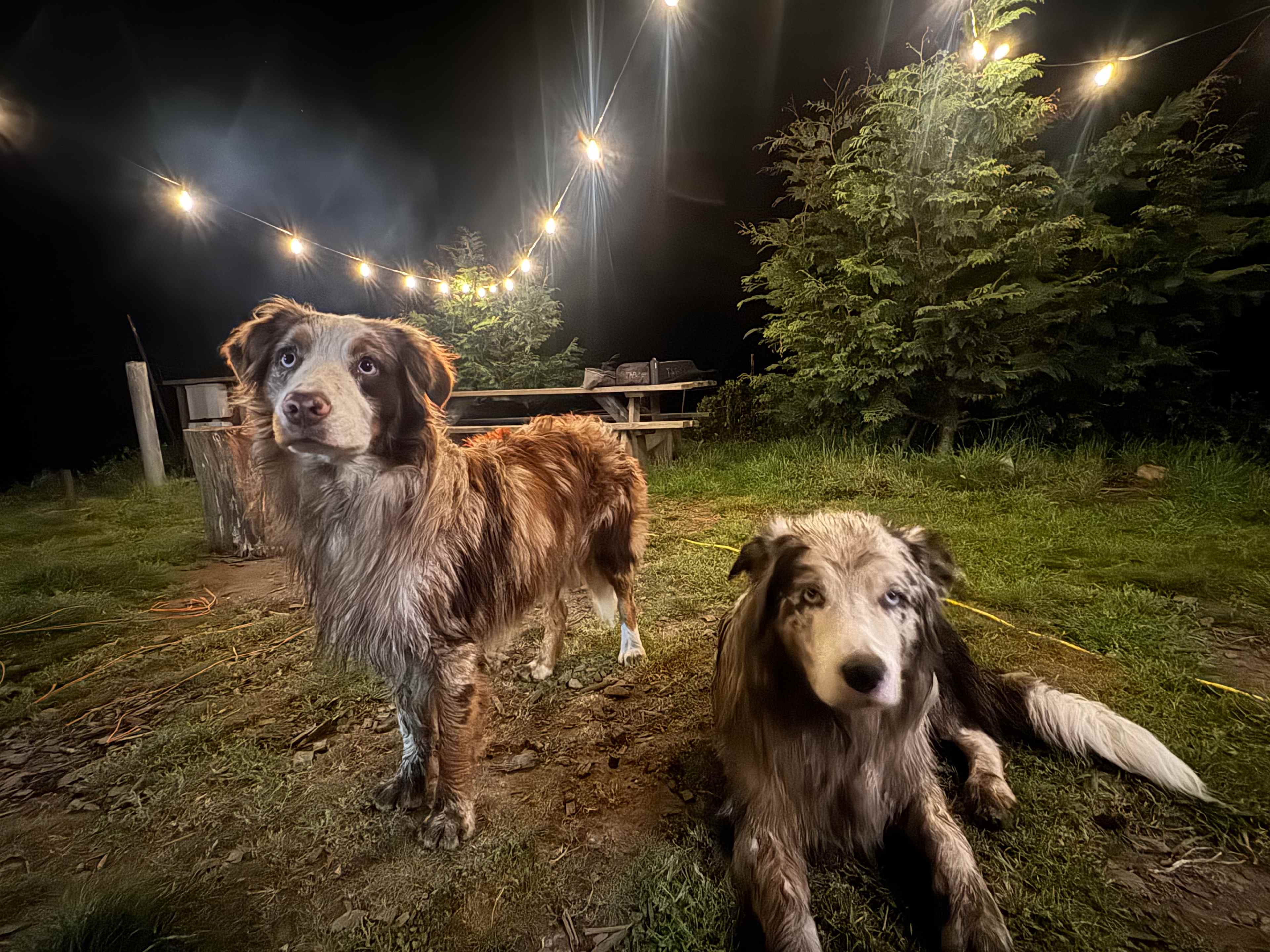 Timber Cove Campground