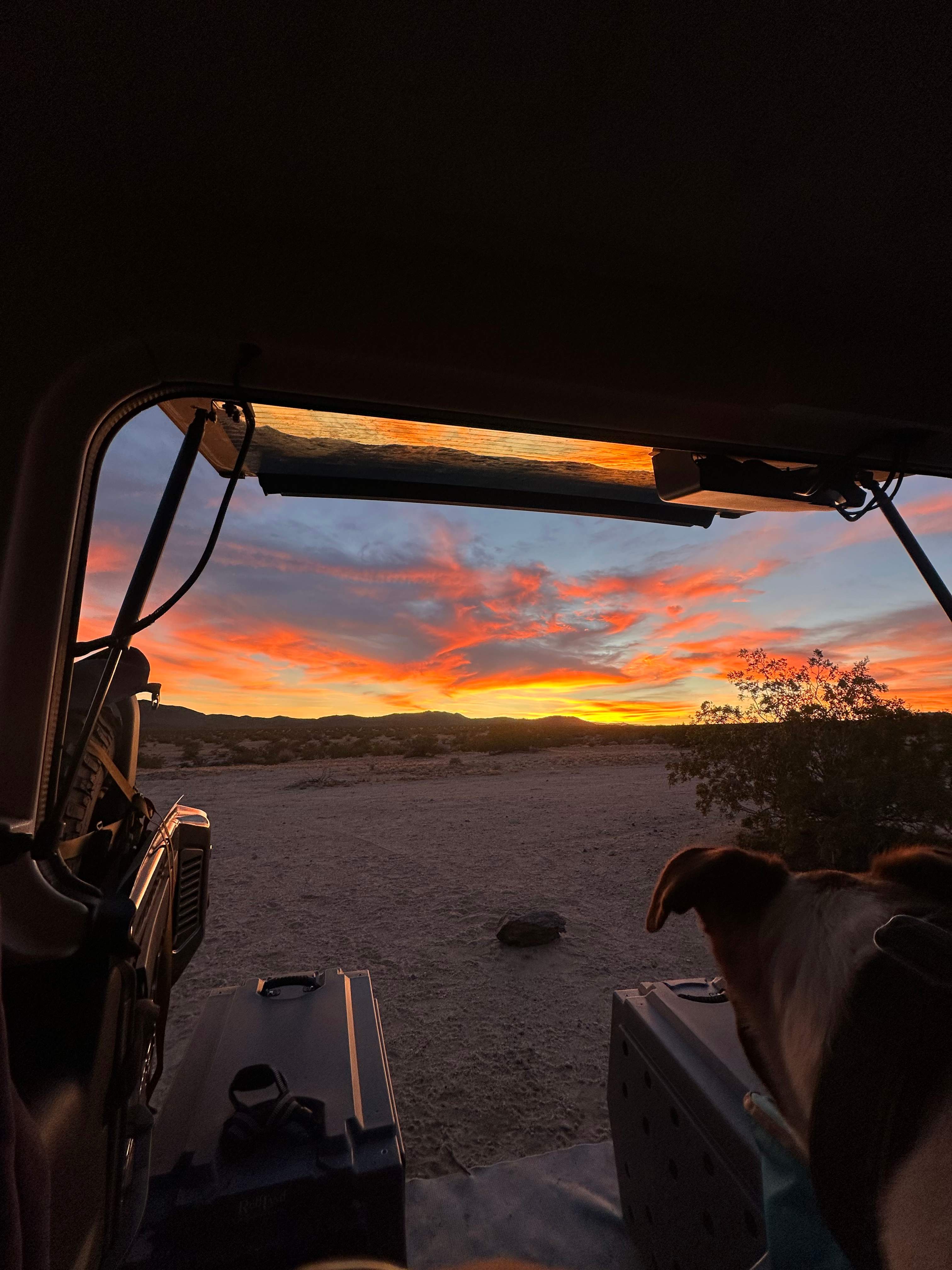 Copper Moon Camp in Joshua Tree