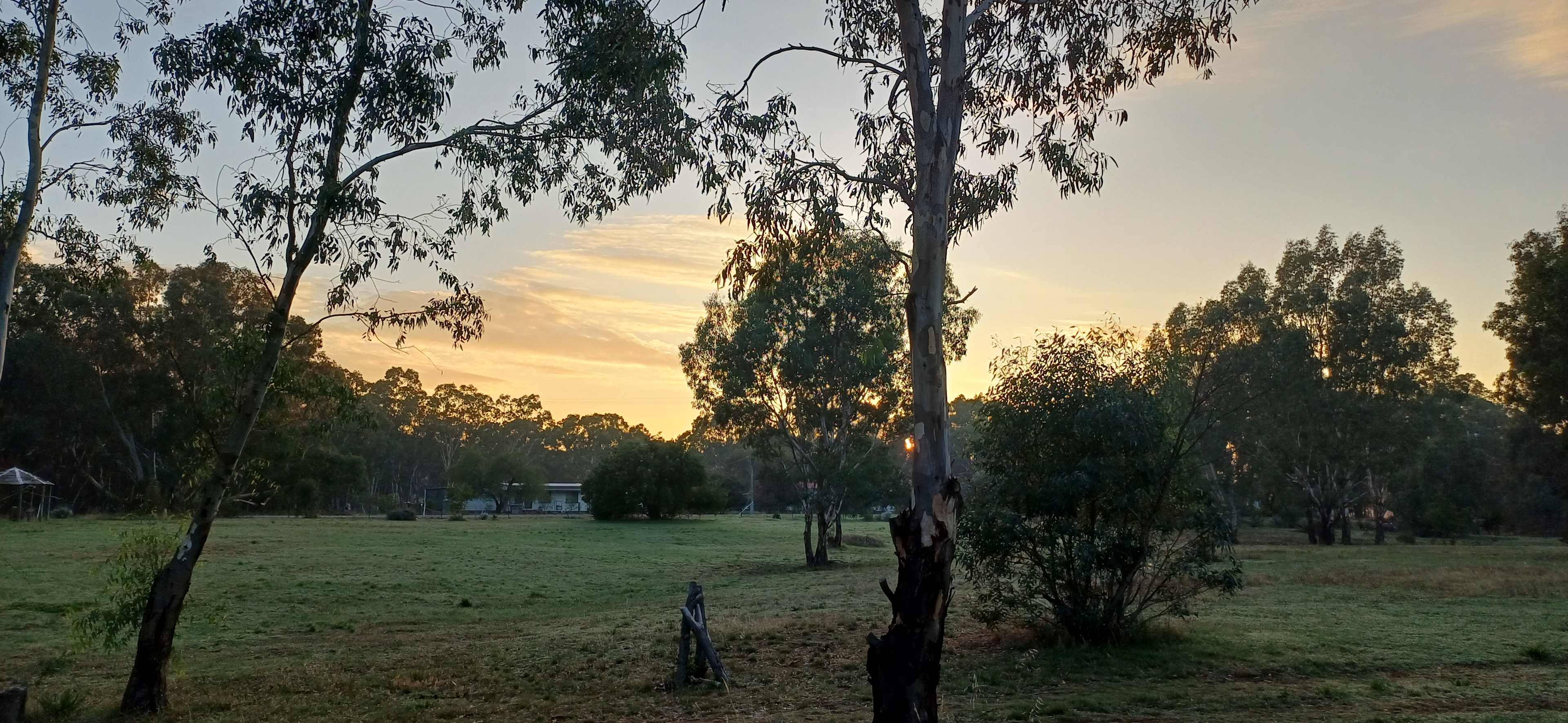 Gooseberry Hill Dunolly